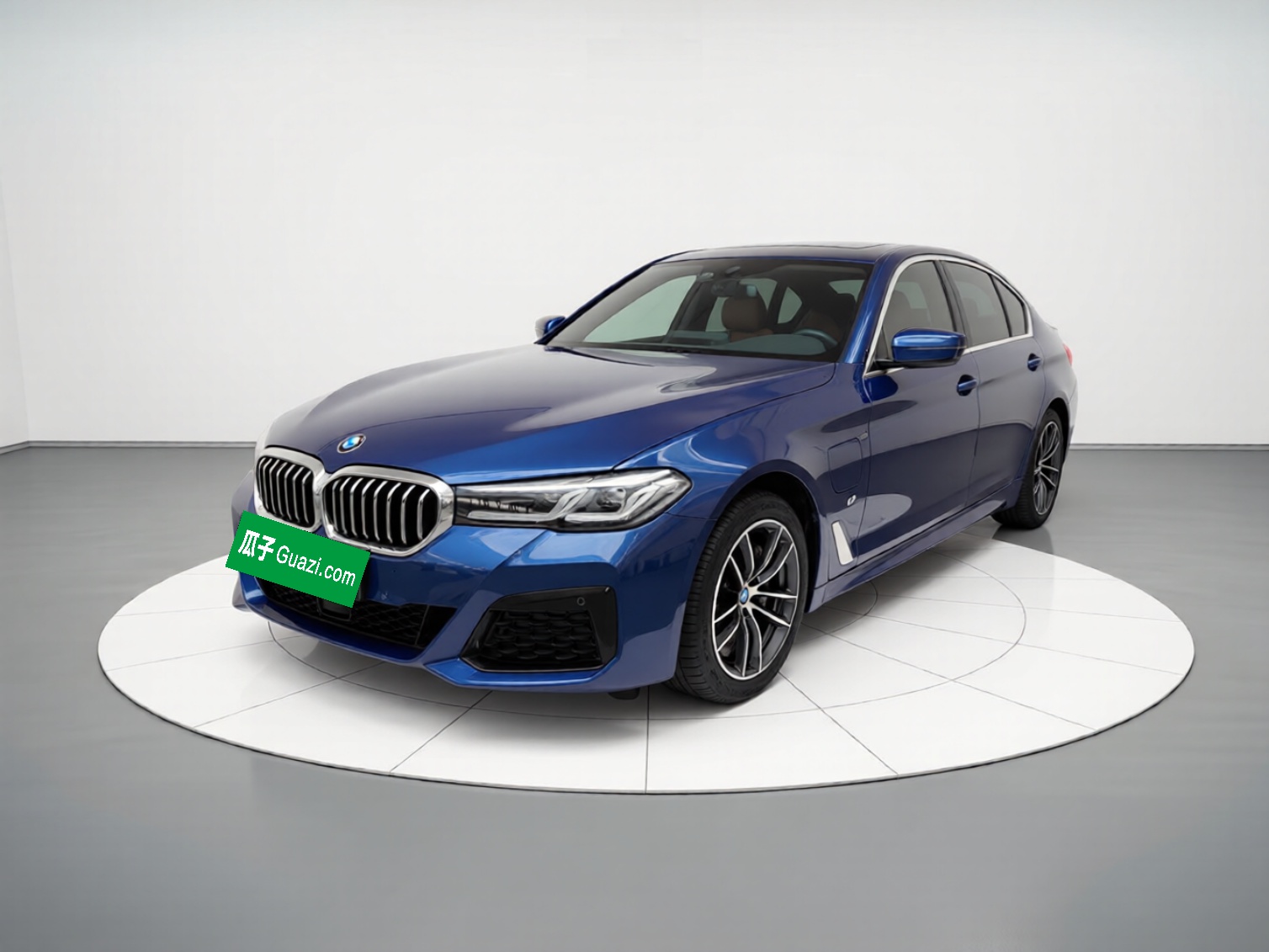 BMW 5 Series New Energy 2020 car image 