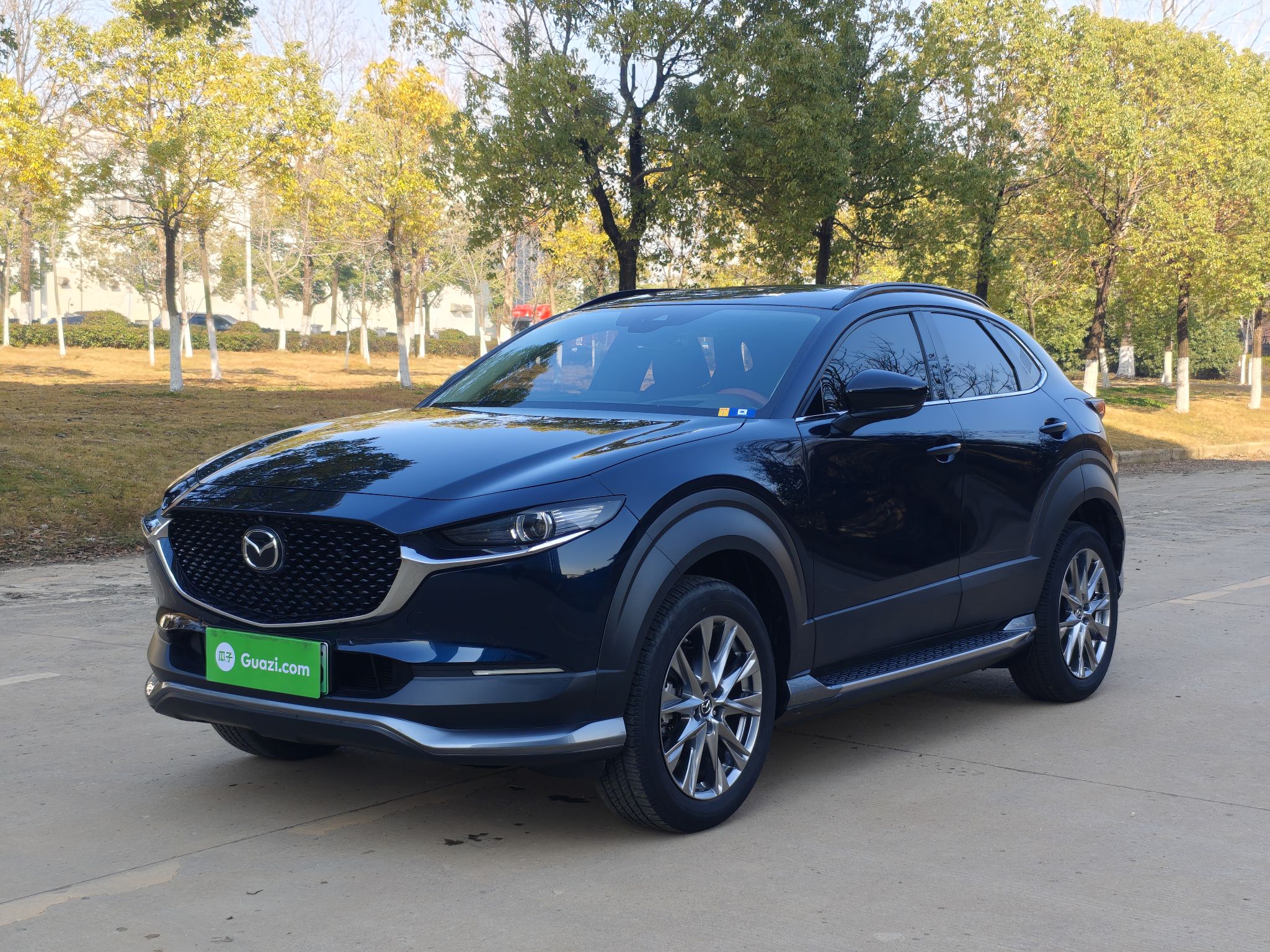 Mazda CX-30 EV 2021 汽车图片 