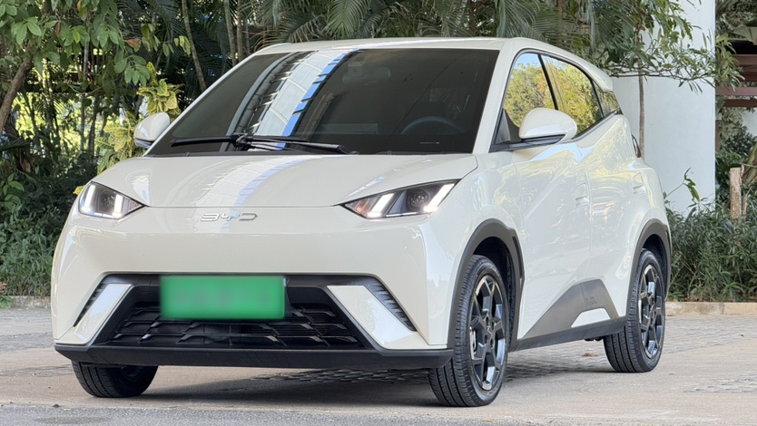 BYD Seagull 2024 BYD Seagull 2024 car image