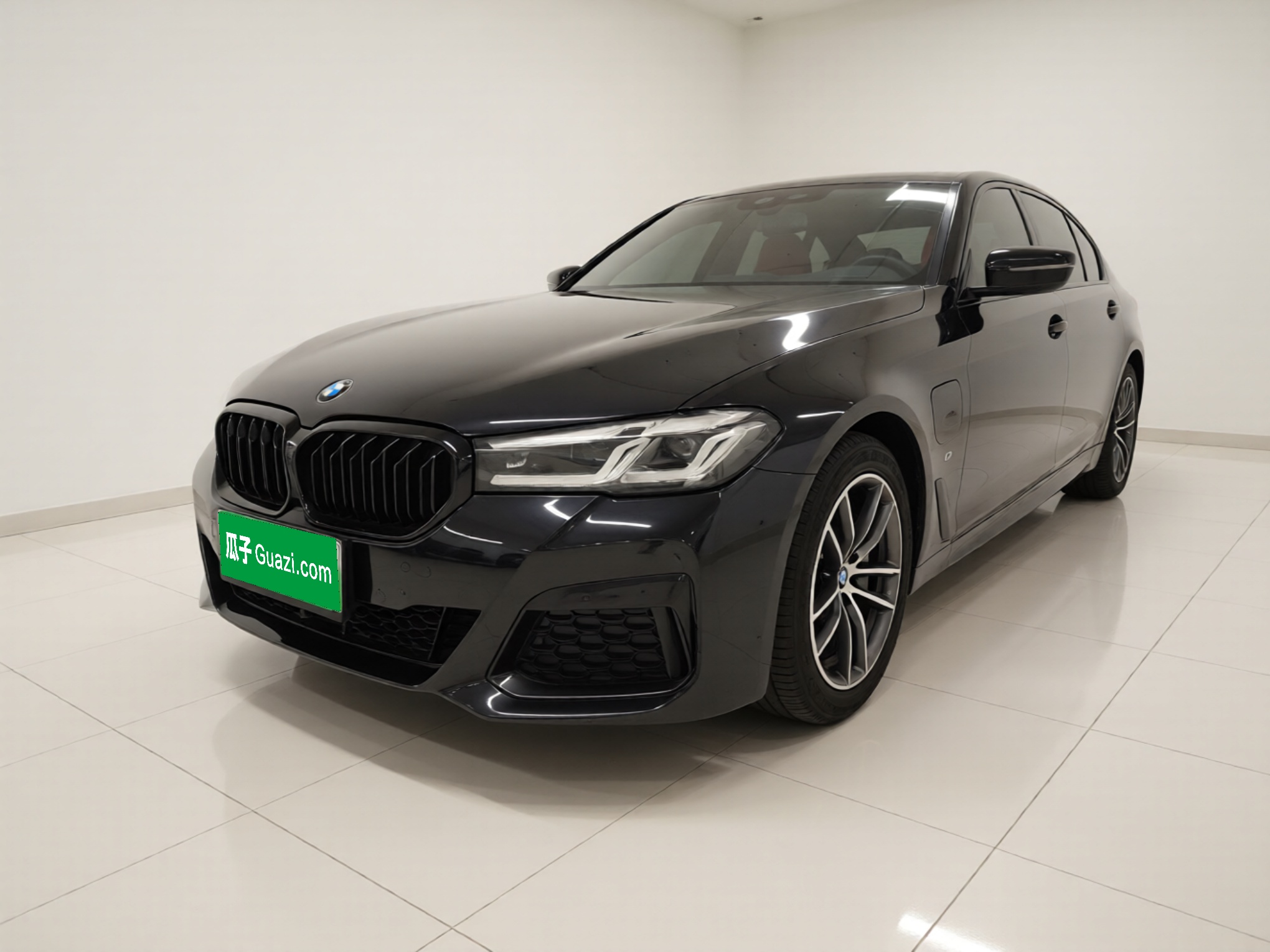 BMW 5 Series New Energy 2021 car image 