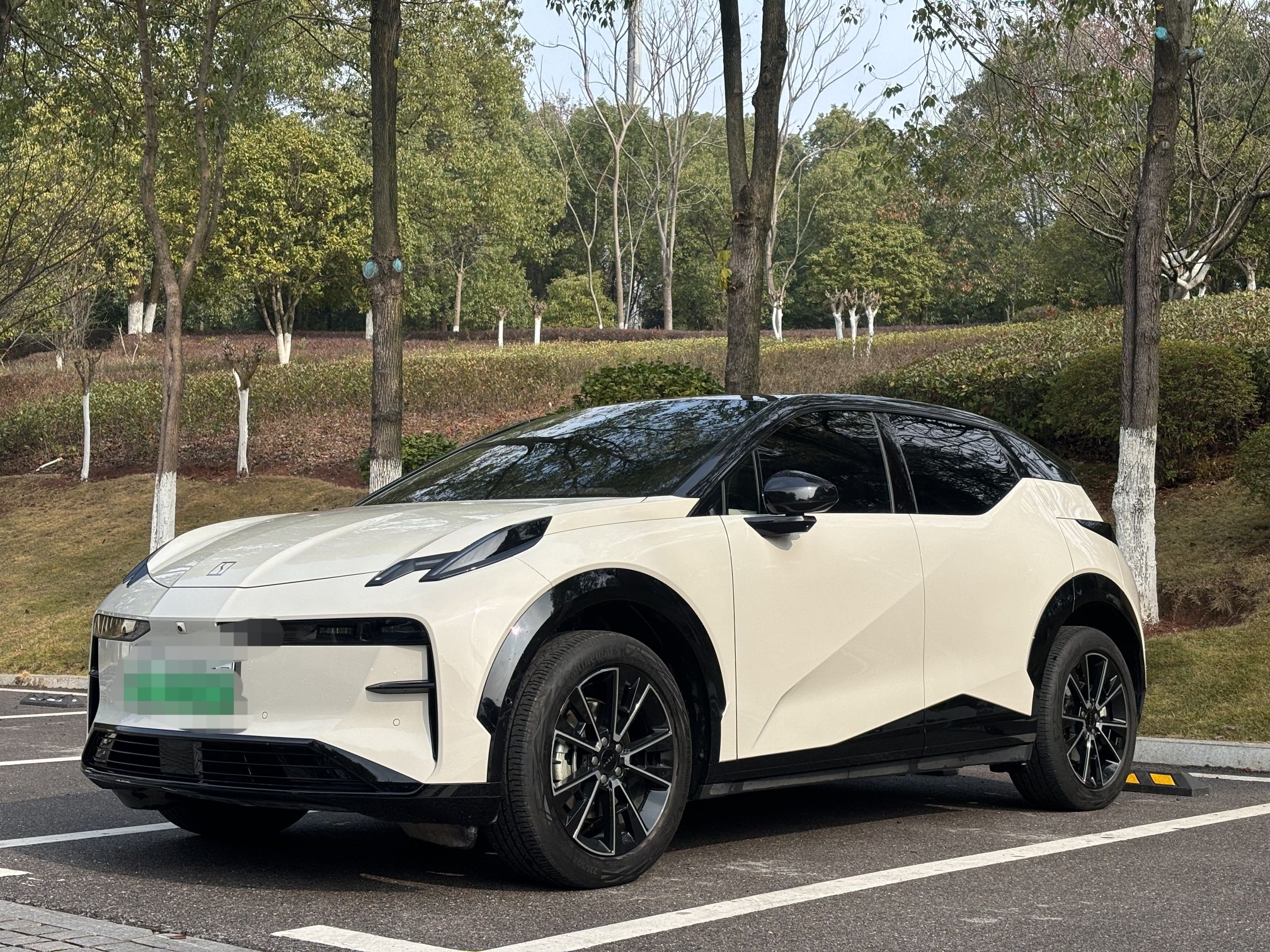 Zeekr X 2023 汽车图片 