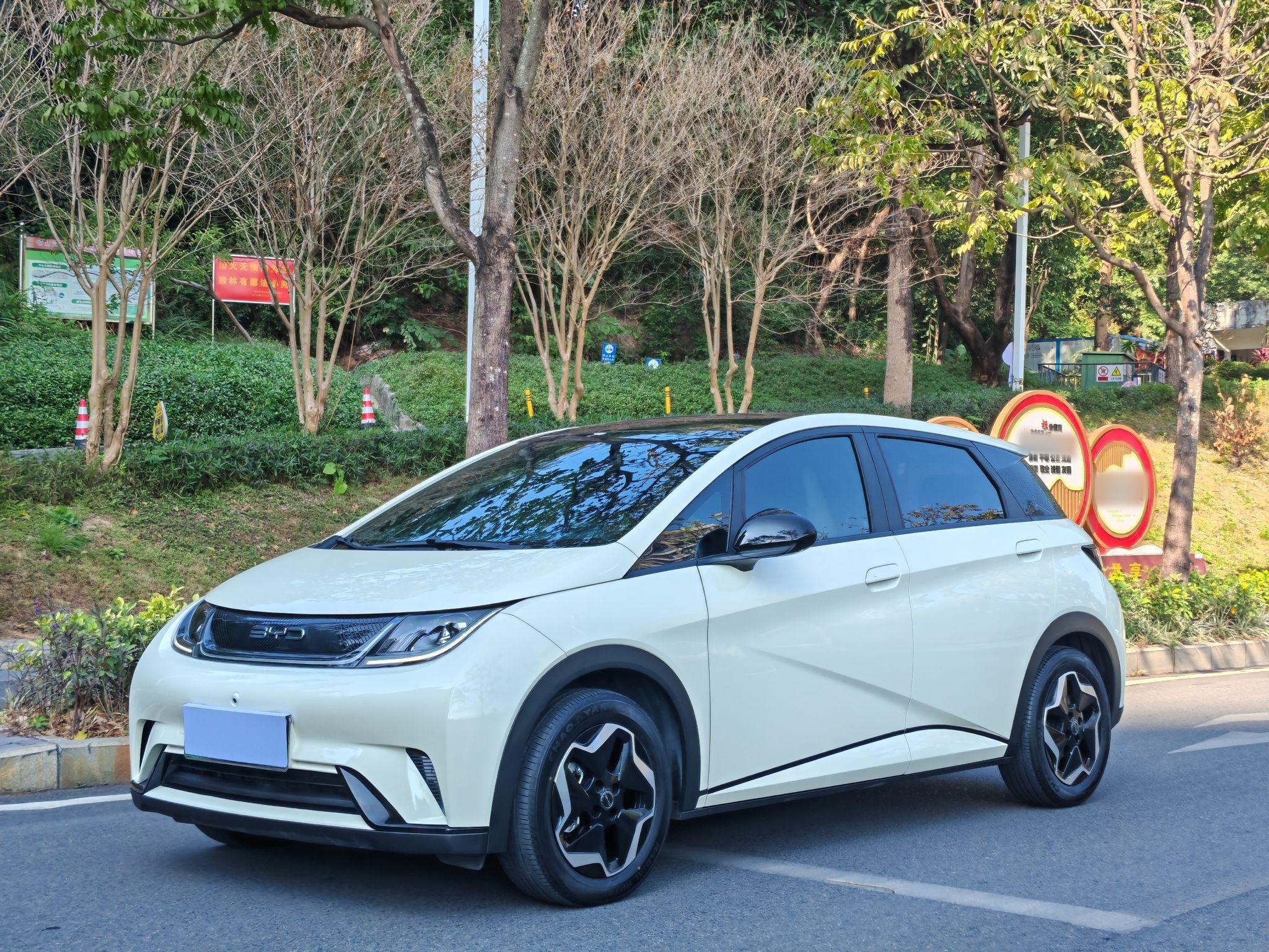 BYD Dolphin 2022 car image 