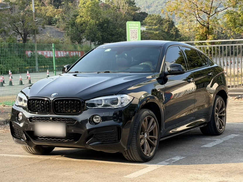 BMW X6 2018 car image 