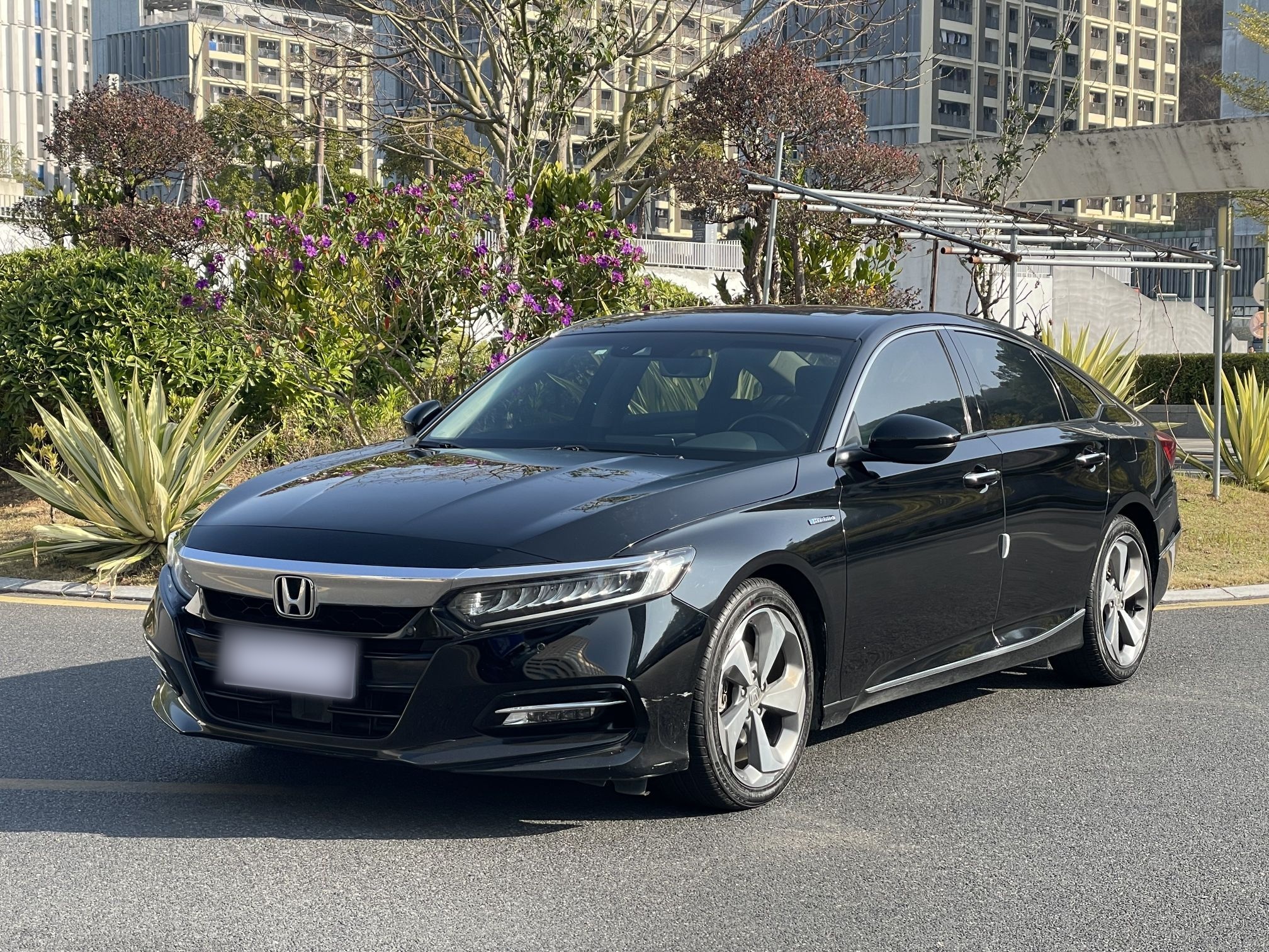 Honda Accord 2020 car image 
