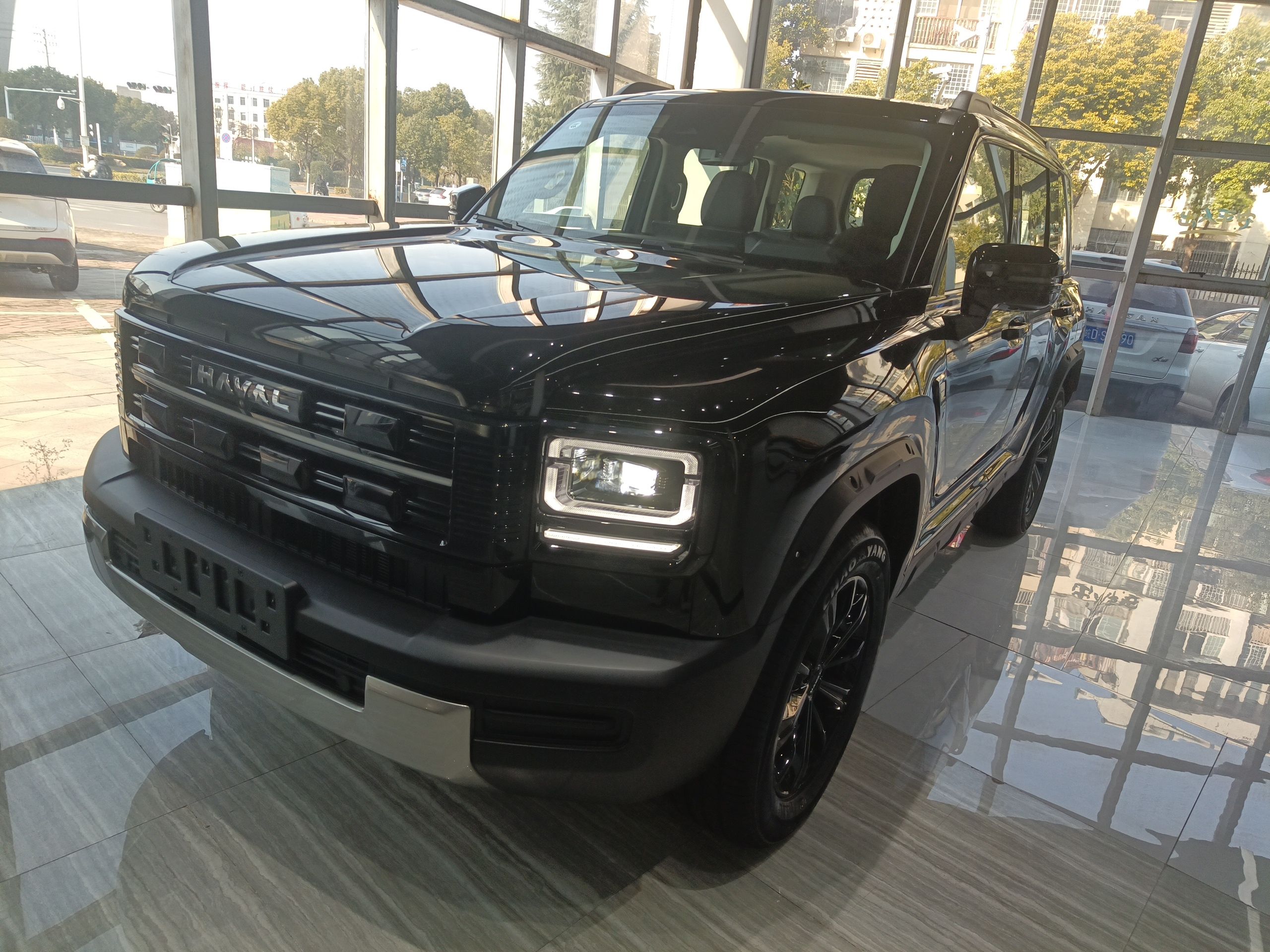 Haval Raptor New Energy 2025 car image 