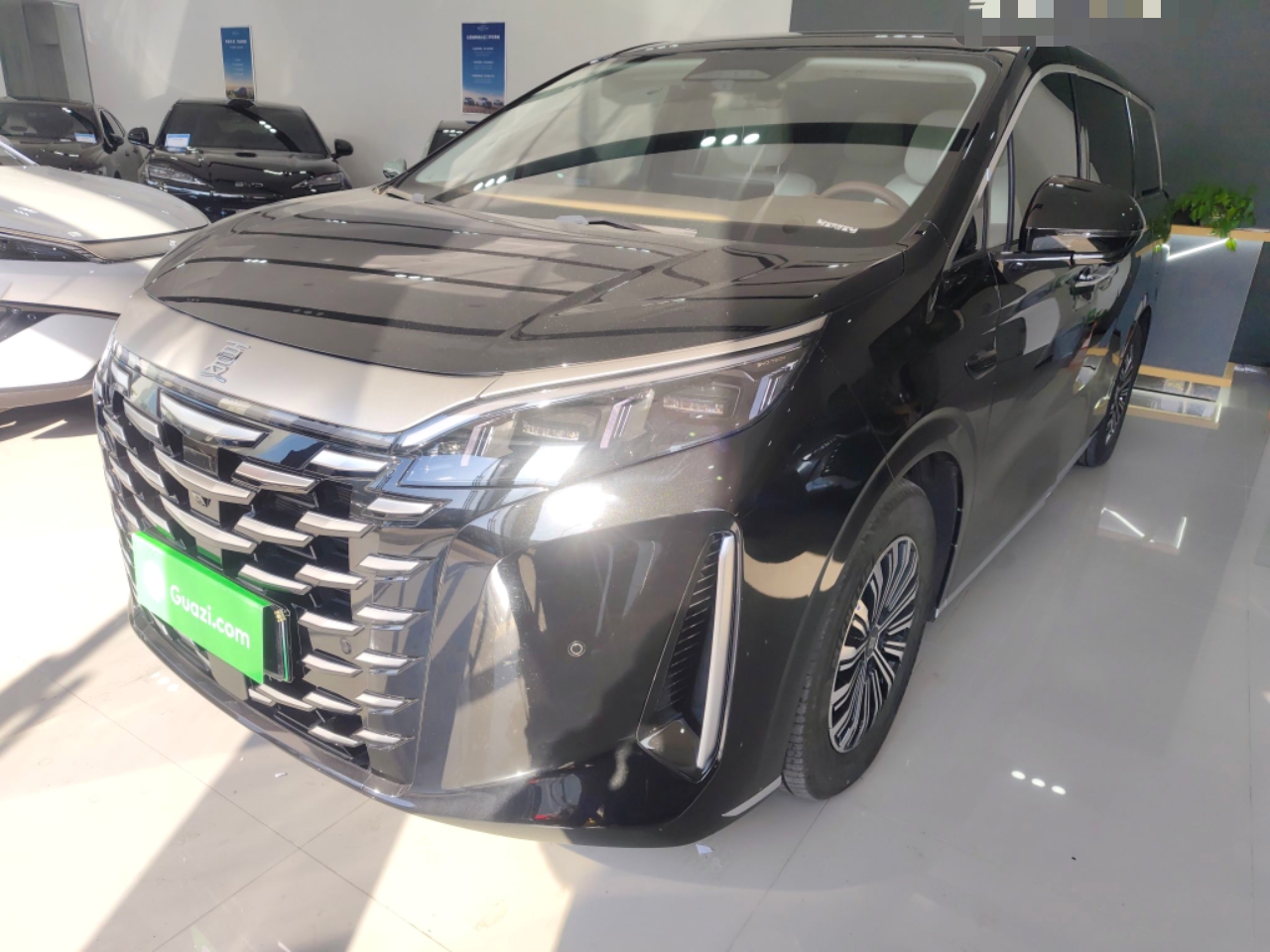 BYD Xia 2024 imagen de coche 