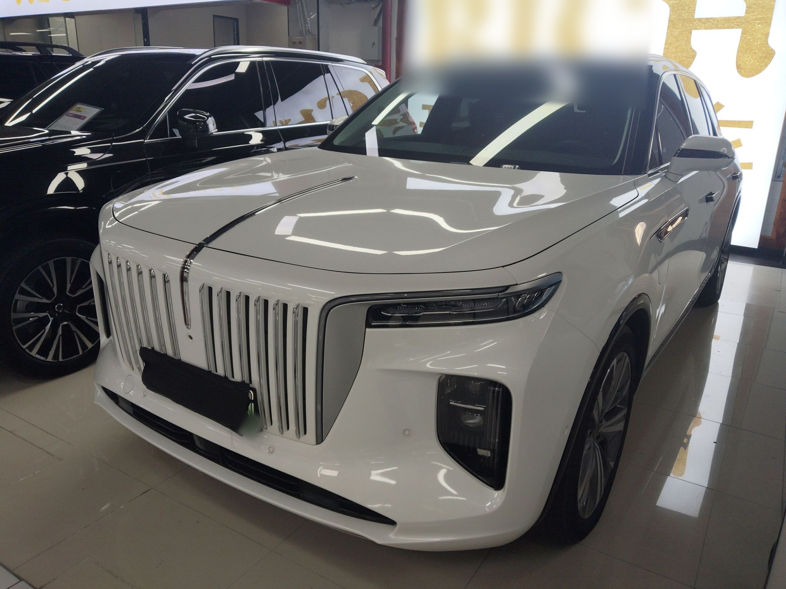 HongQi E-HS9 2023 car image 