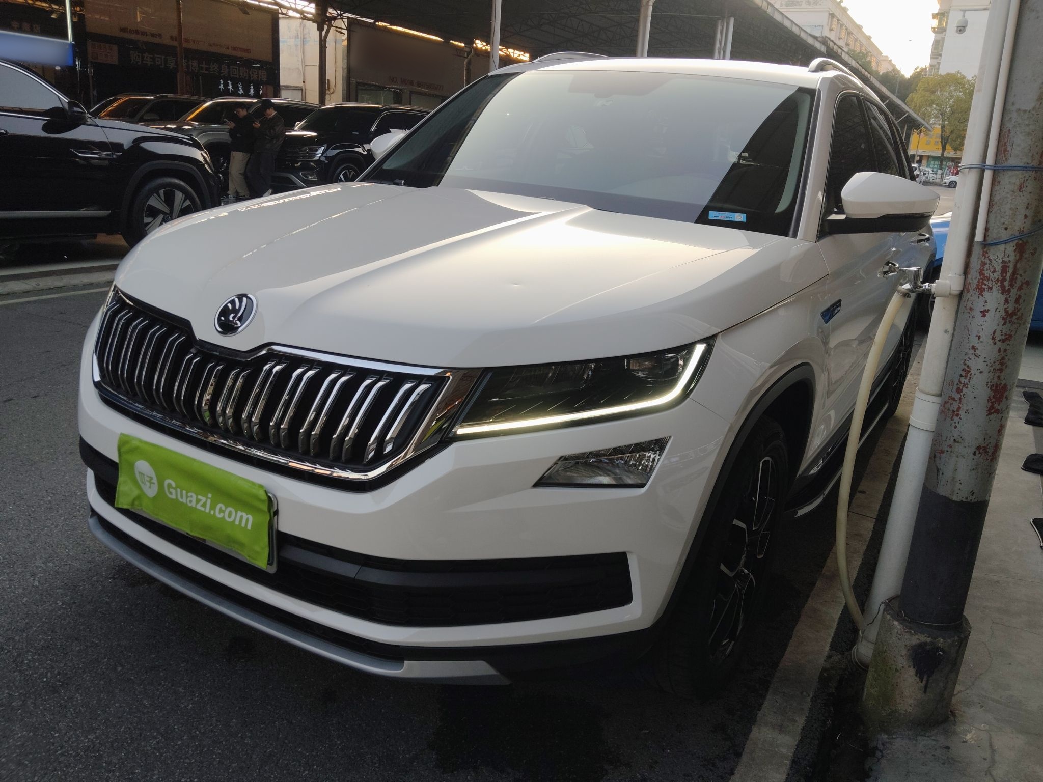 Skoda Kodiaq 2021 car image 