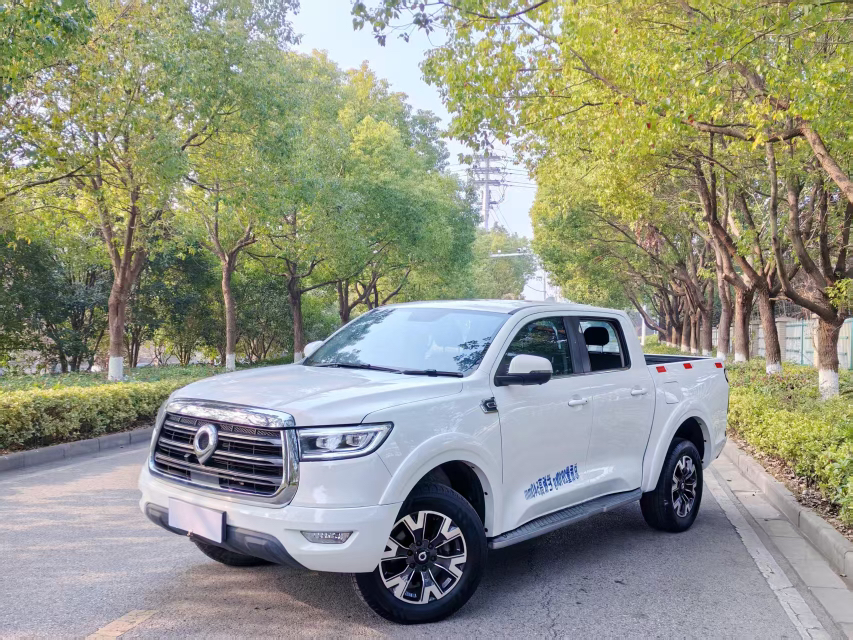 Great Wall Poer 2020 car image 