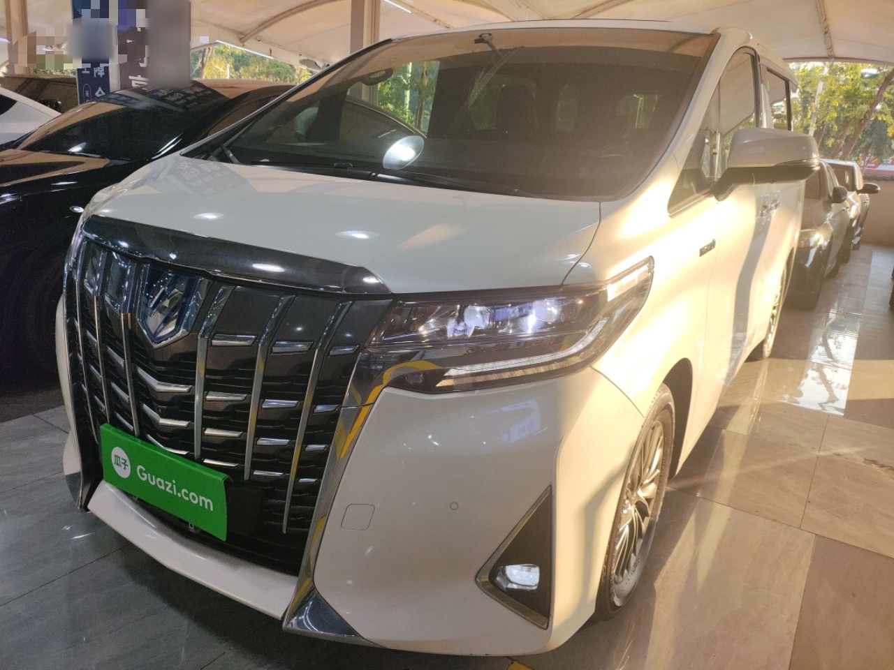 Toyota Alphard 2022 car image 