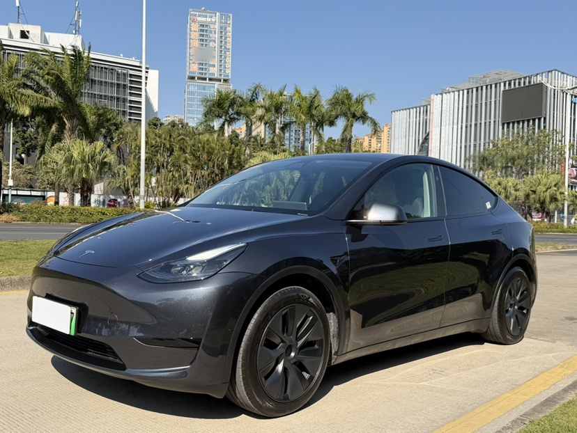 Tesla Model Y 2025 Tesla Model Y 2025 car image