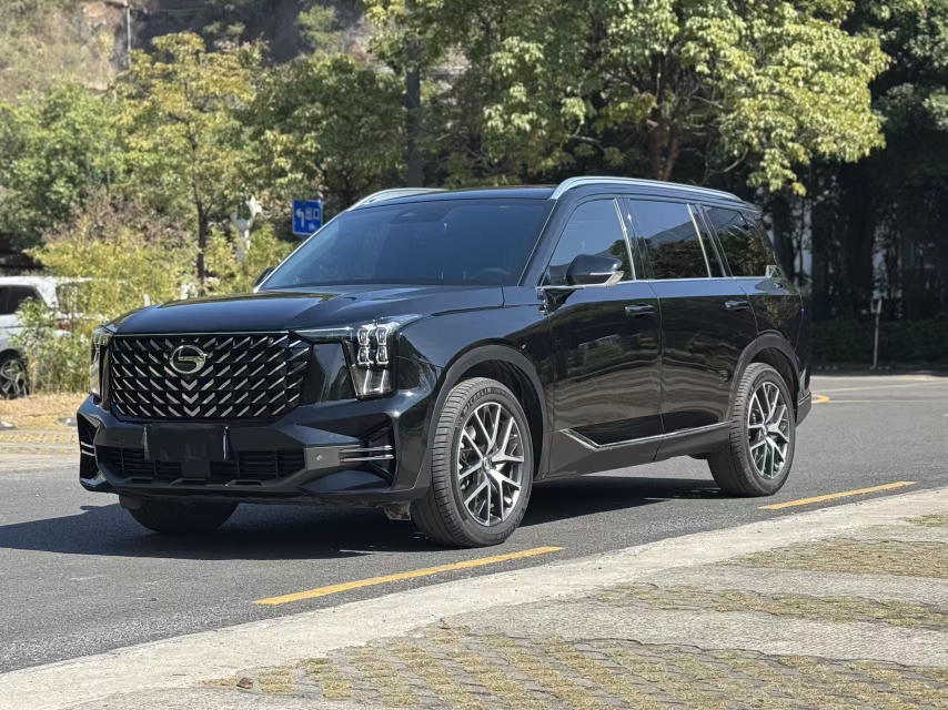 GAC Trumpchi GS8 2024 GAC Trumpchi GS8 2024 car image