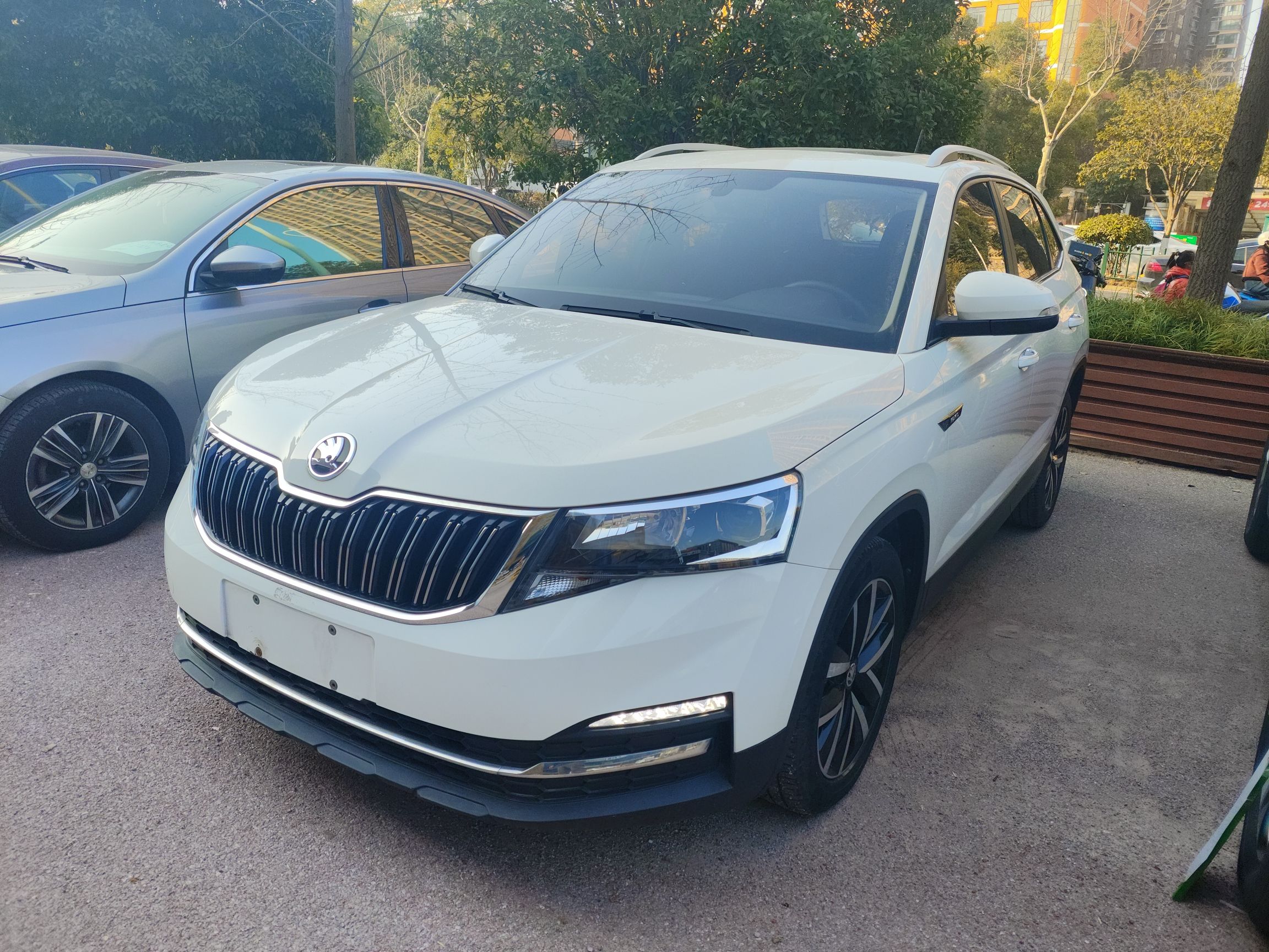 Skoda Kamiq 2020 car image 