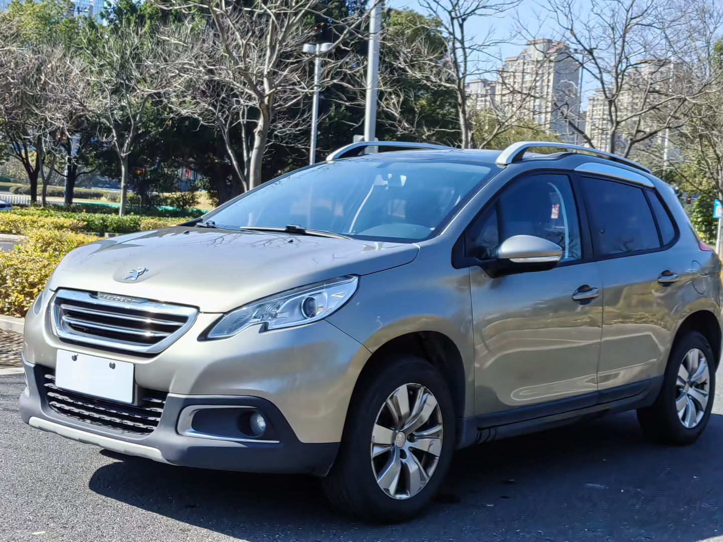 Peugeot 2008 2016 汽车图片 