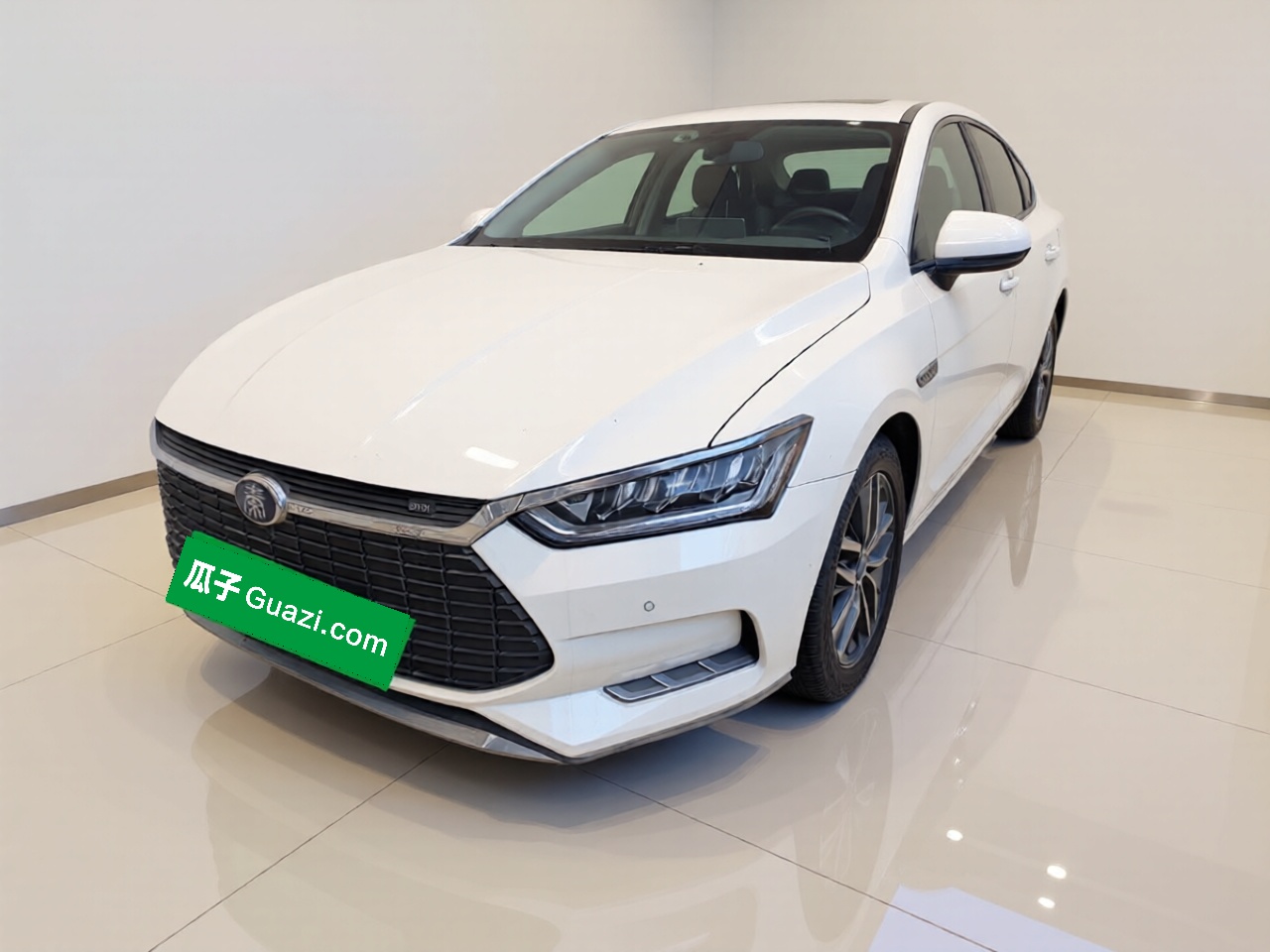 BYD Qin Pro New Energy 2019 car image 