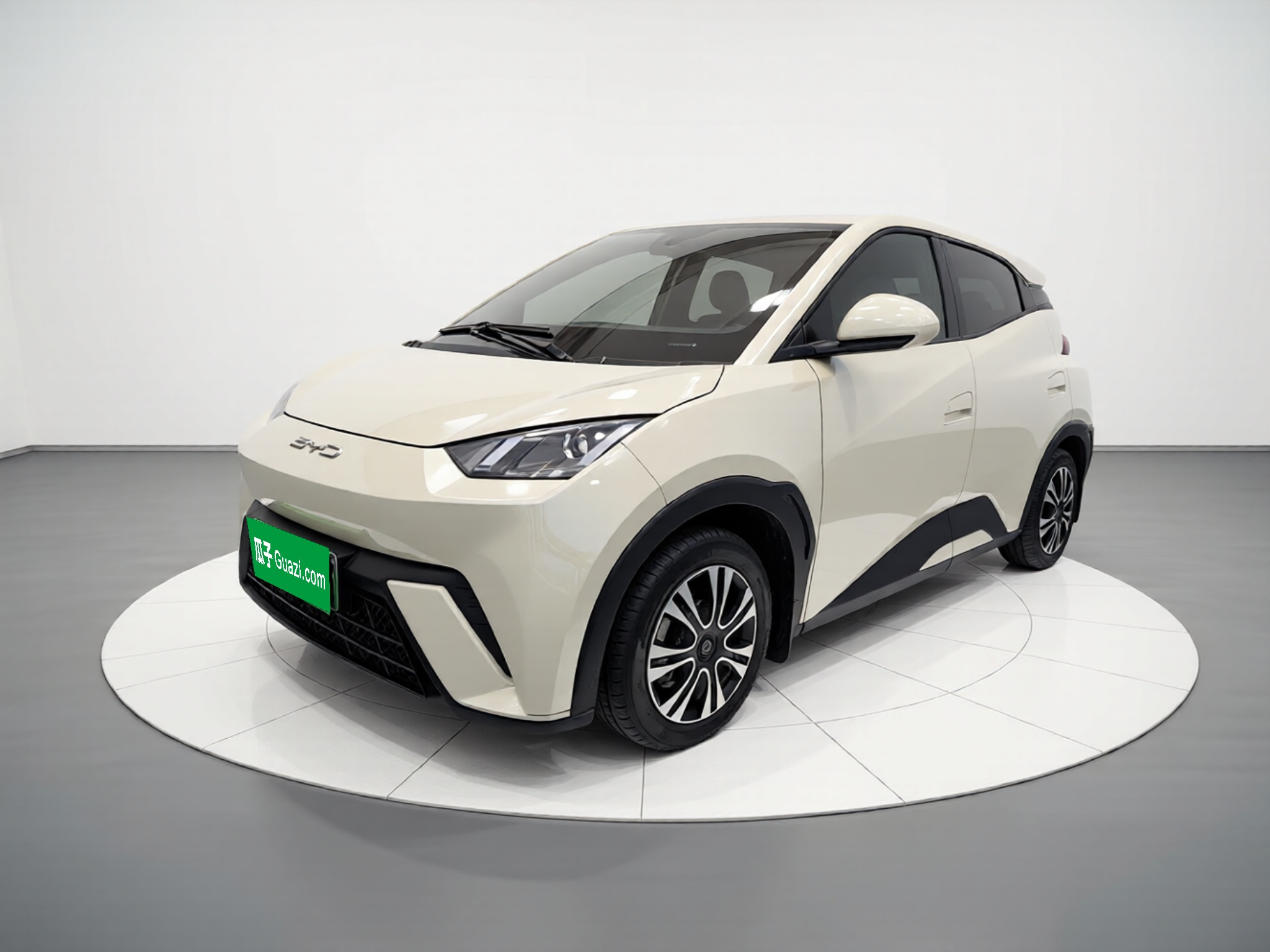 BYD Seagull 2023 car image 