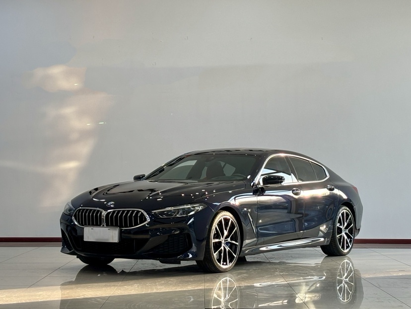 BMW 8 Series 2022 car image 
