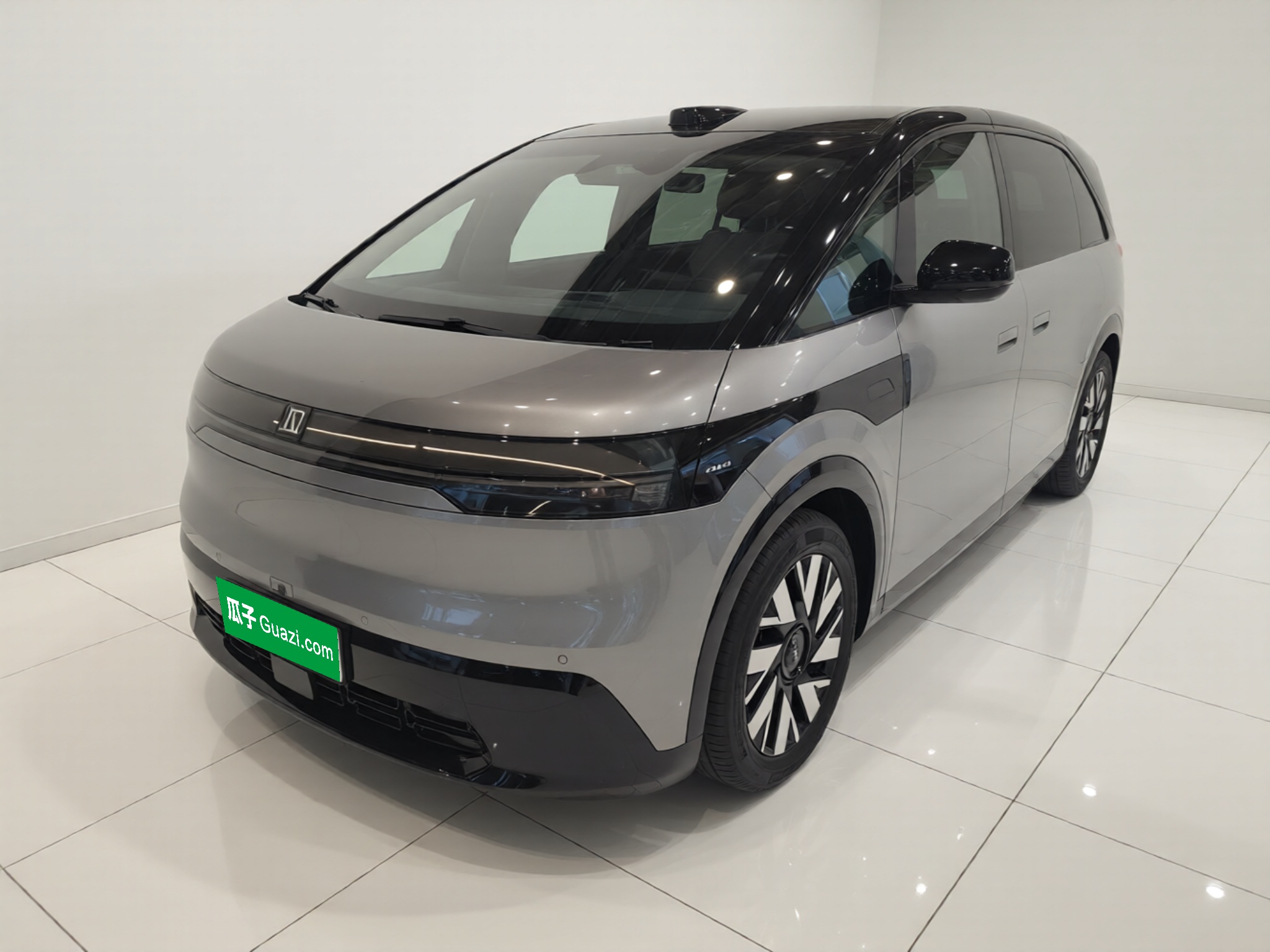 Zeekr MIX 2024 汽车图片 