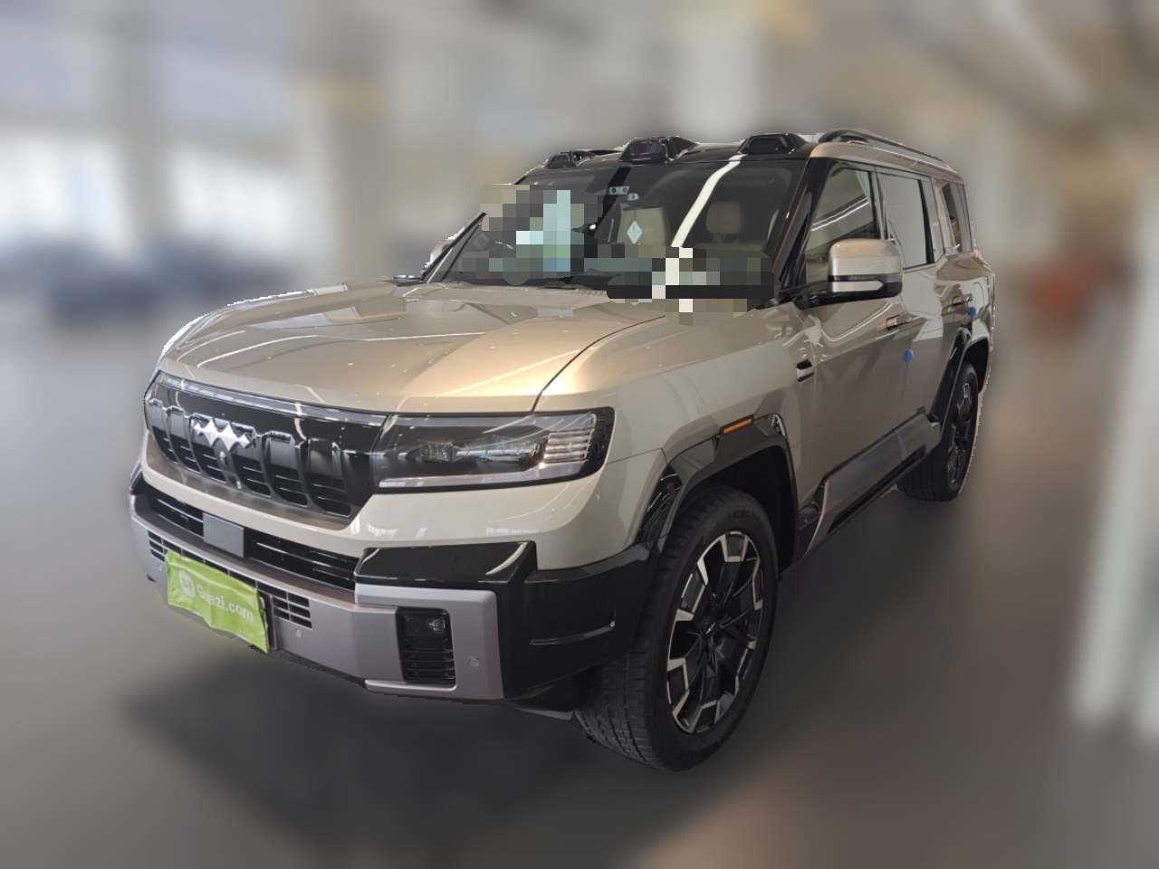FangChengBao Leopard 8 2024 car image 