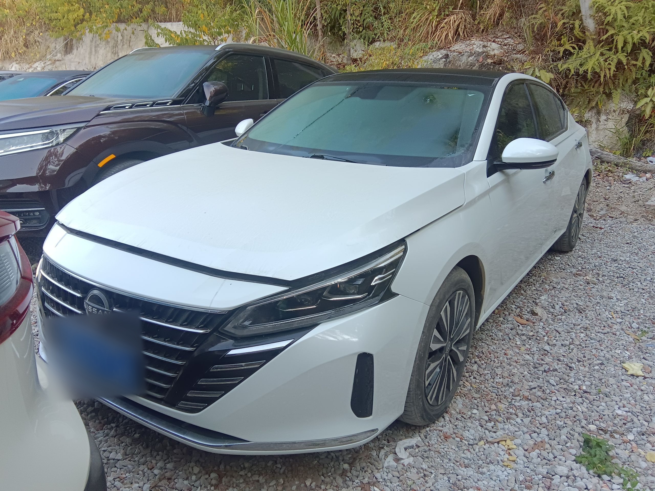 Nissan Teana 2023 汽车图片 