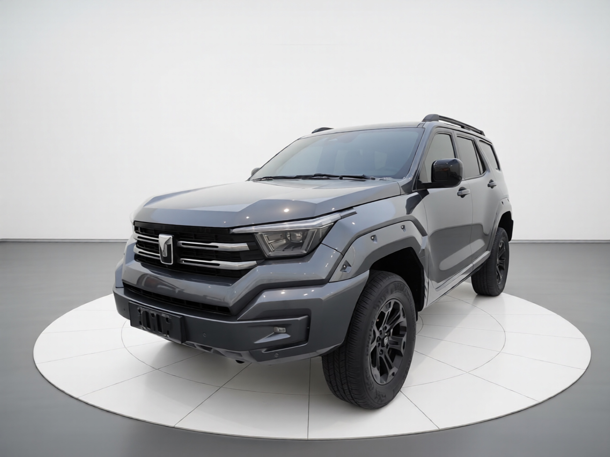 Tank 400 New Energy 2024 Tank 400 New Energy 2024 汽车图片