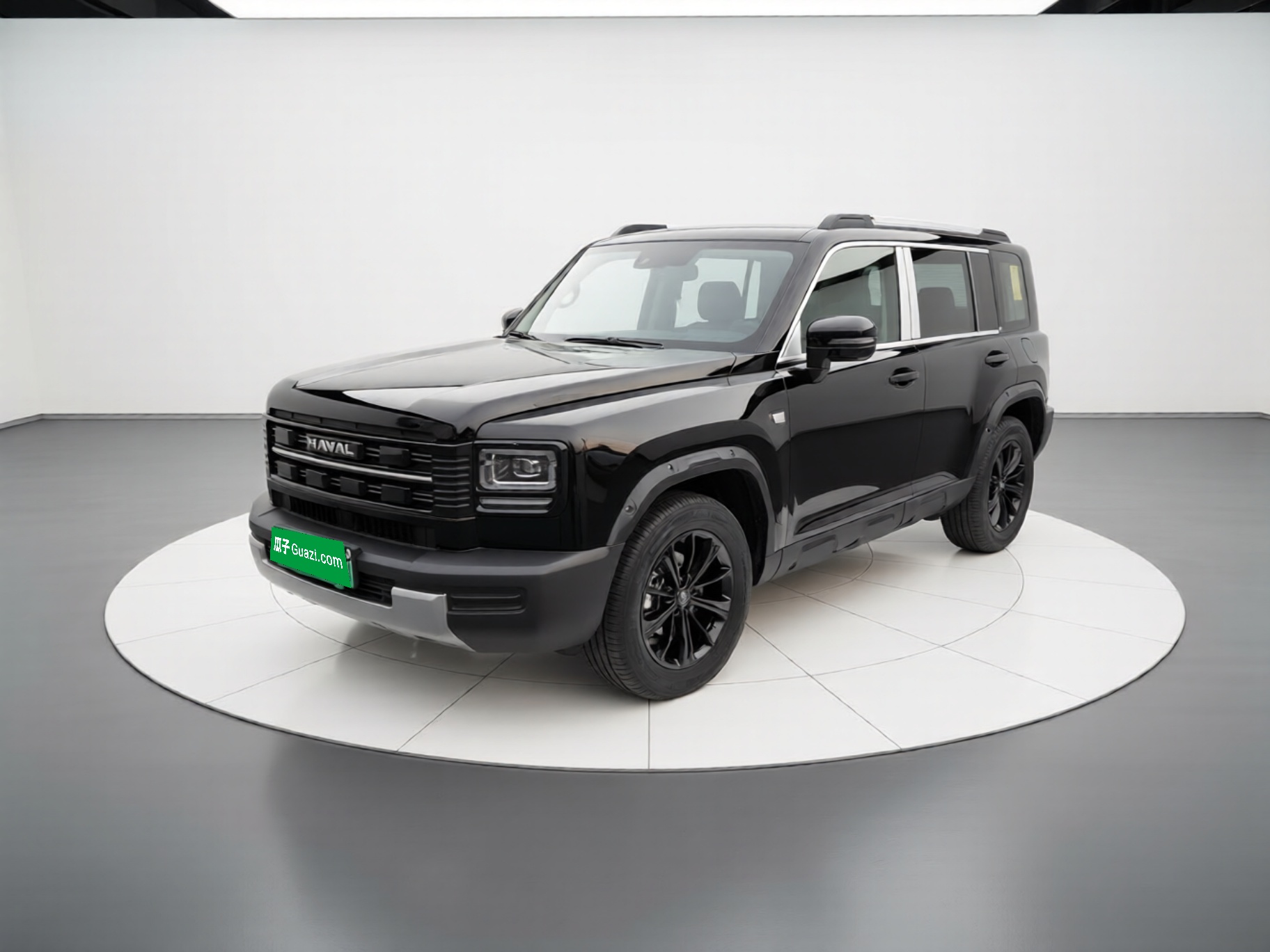 Haval Raptor New Energy 2025 car image 