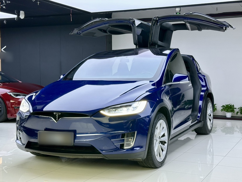 Tesla Model X 2018 汽车图片 