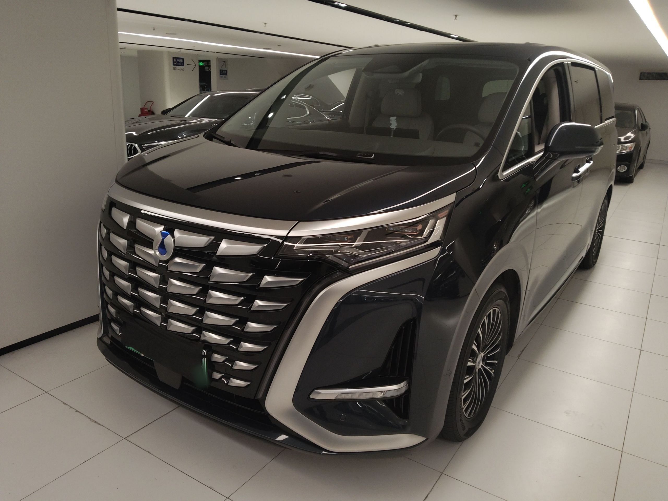 腾势 腾势D9 2023 汽车图片 