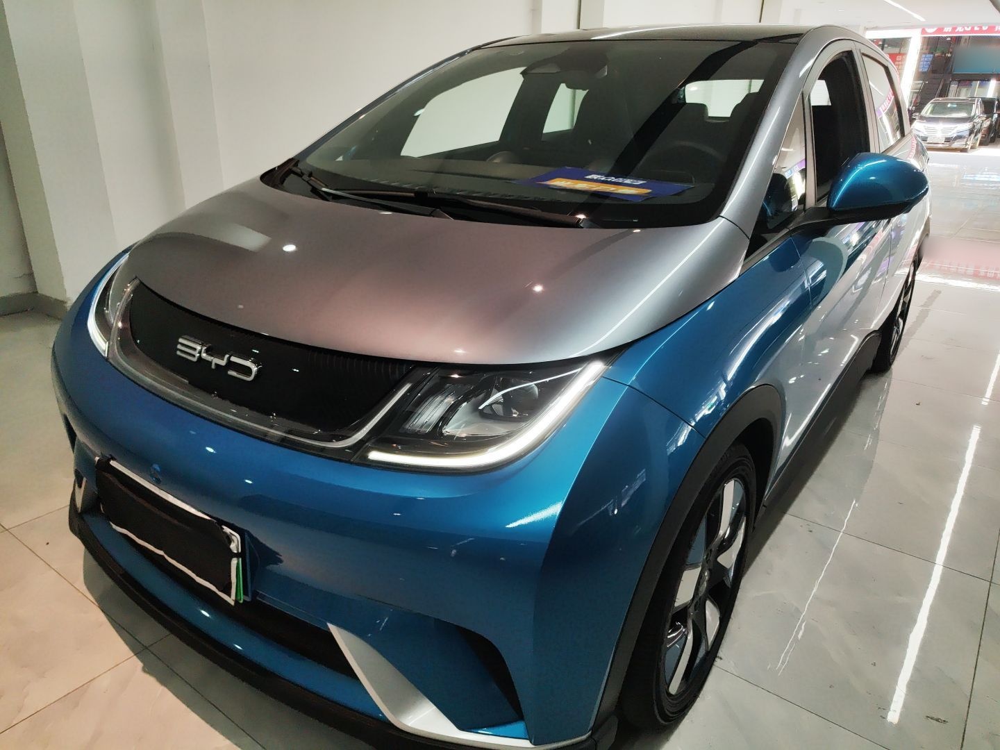 BYD Dolphin 2024 car image 