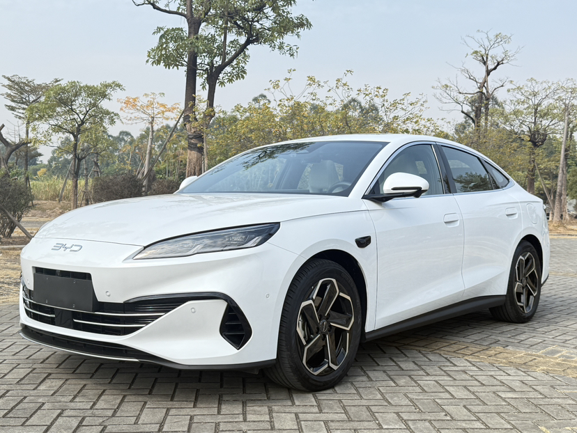 BYD Seal 06 New Energy 2025 car image 