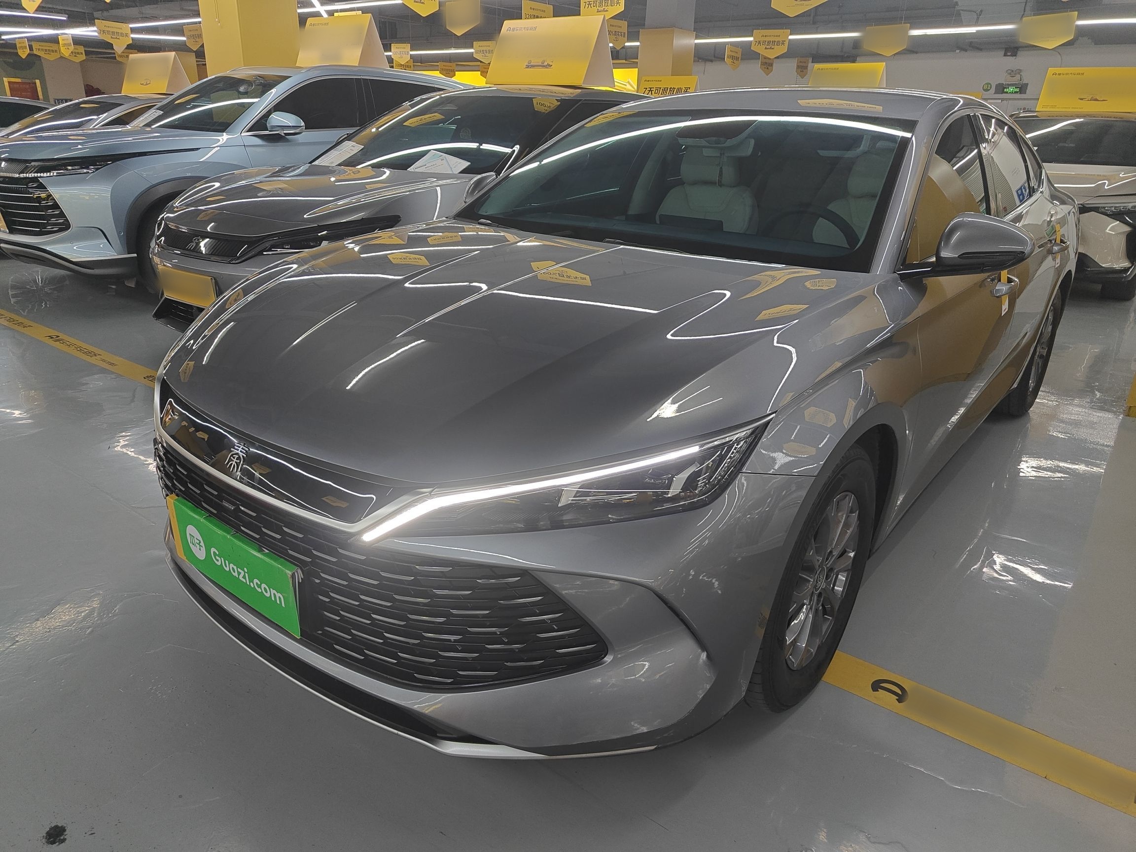 BYD Qin L 2024 car image 