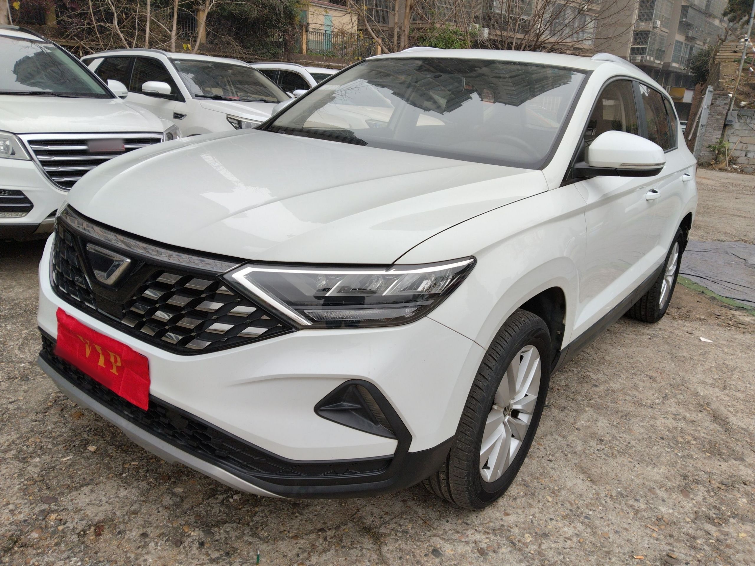 VS5 2019 car image 