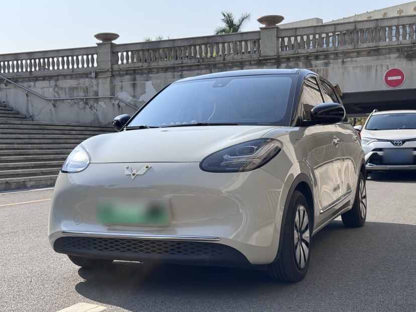 Wuling Binguo 2023 汽车图片 