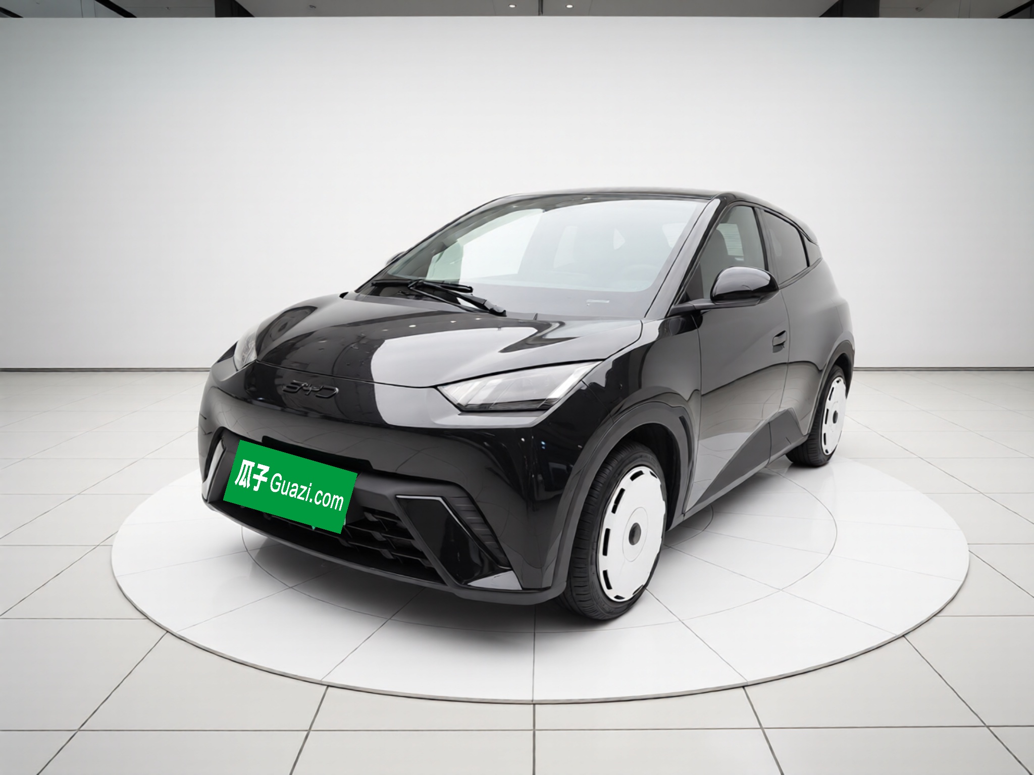 BYD Seagull 2024 car image 