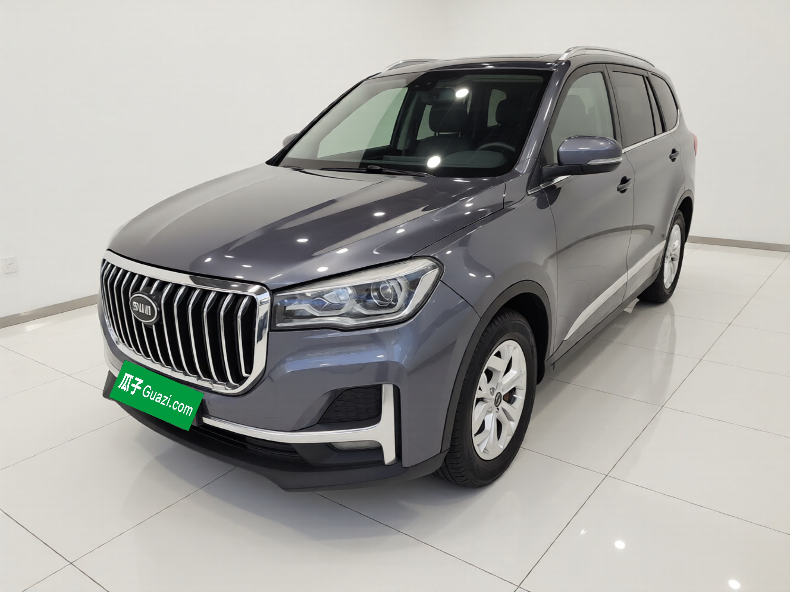 SWM G05 2020 SWM G05 2020 汽车图片