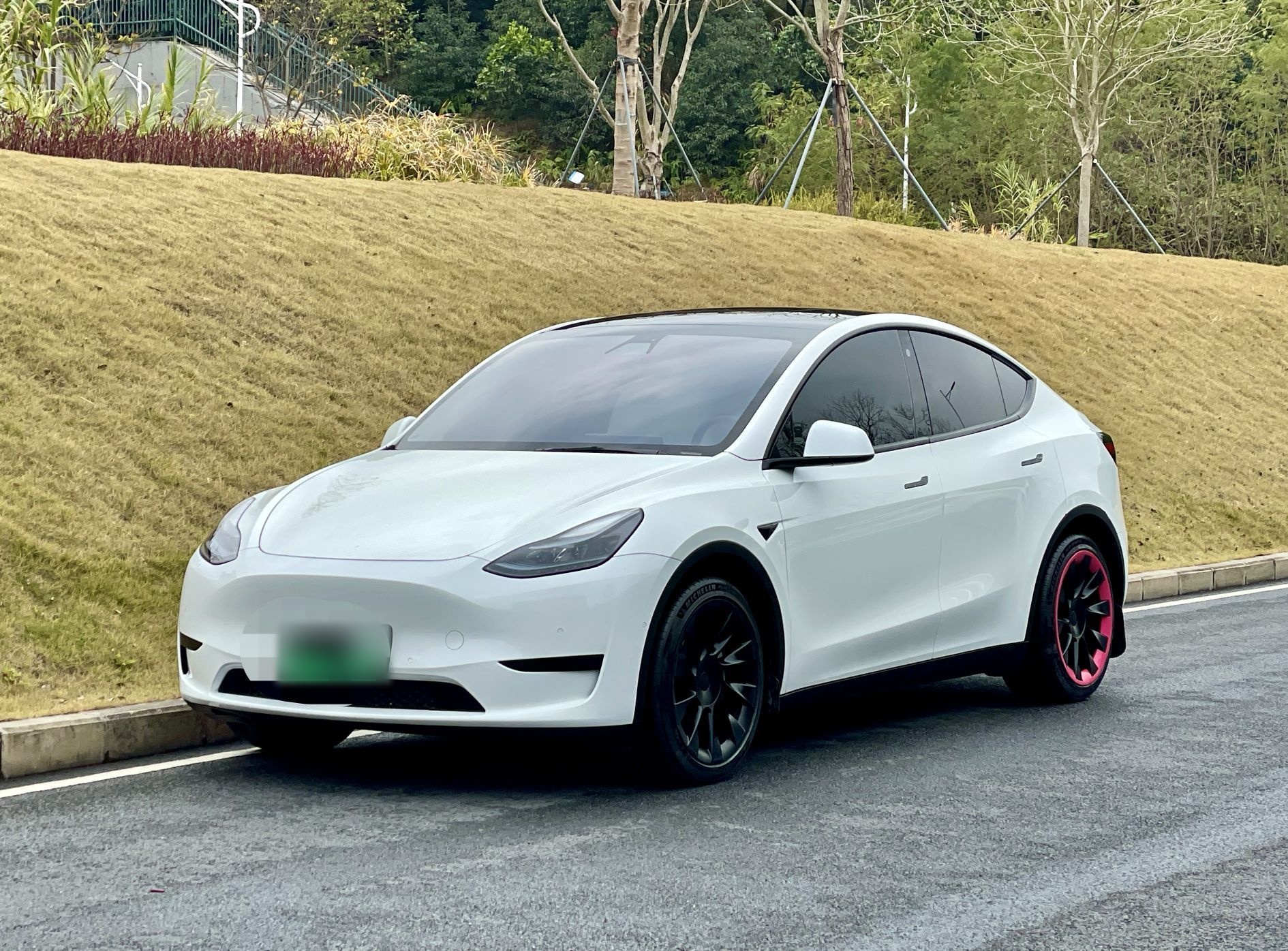 Tesla Model Y 2023 Tesla Model Y 2023 car image