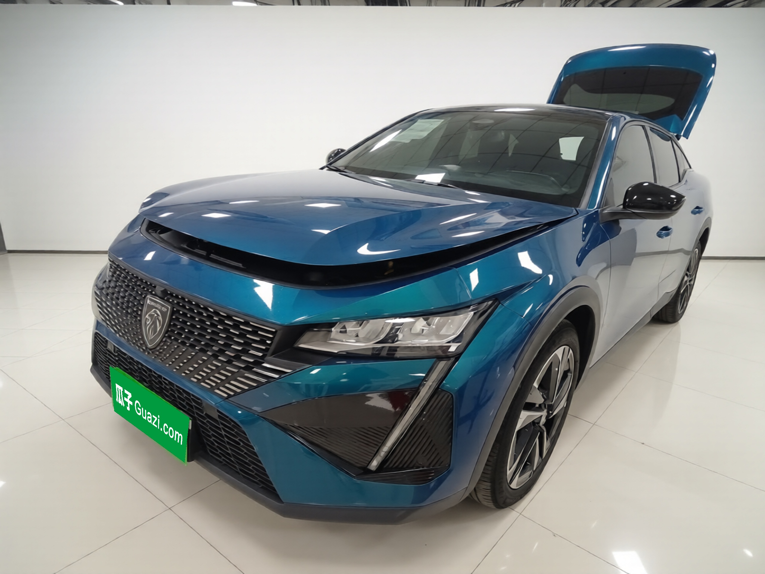 Peugeot 408X 2023 汽车图片 