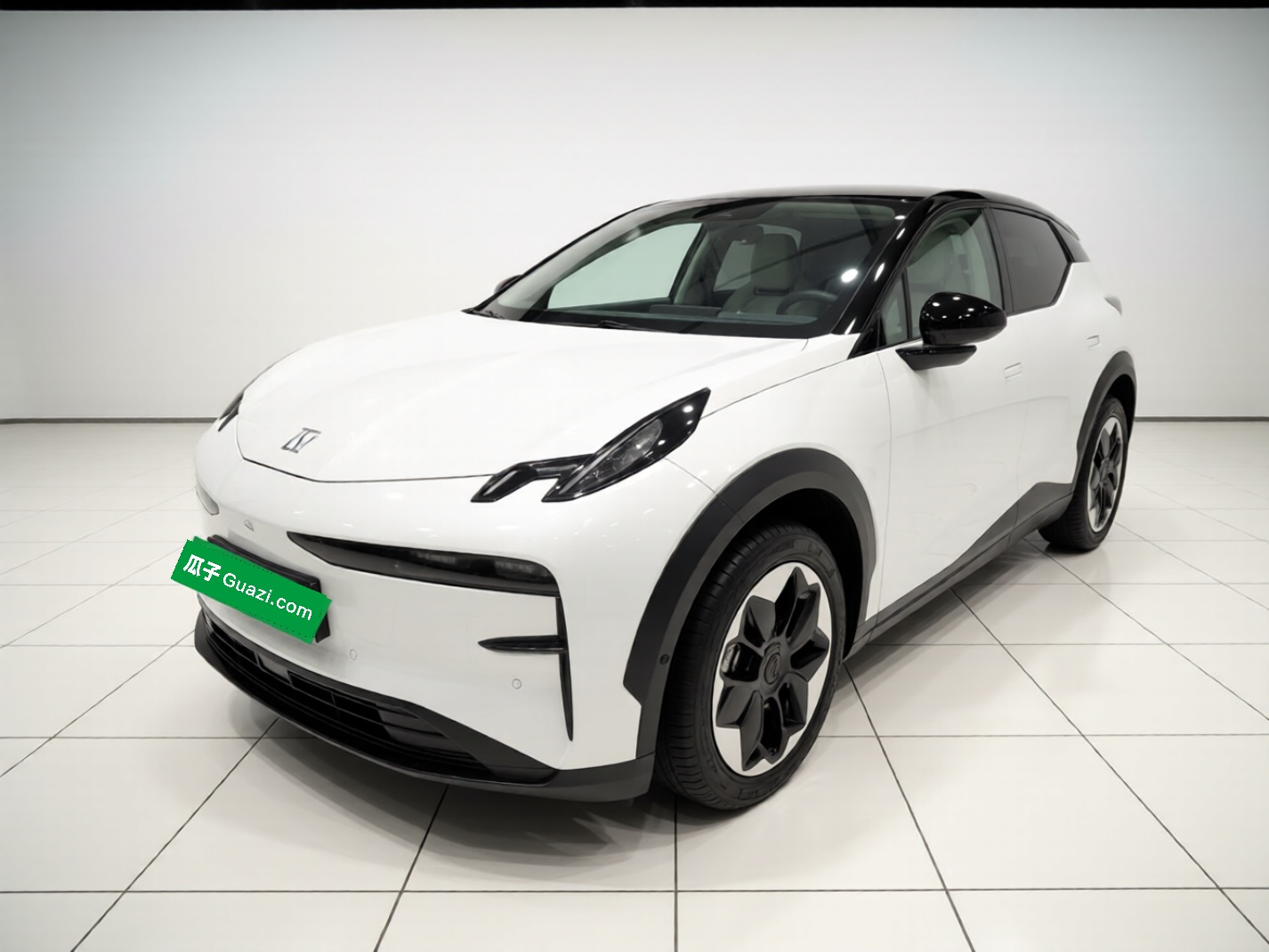 Zeekr X 2023 汽车图片 