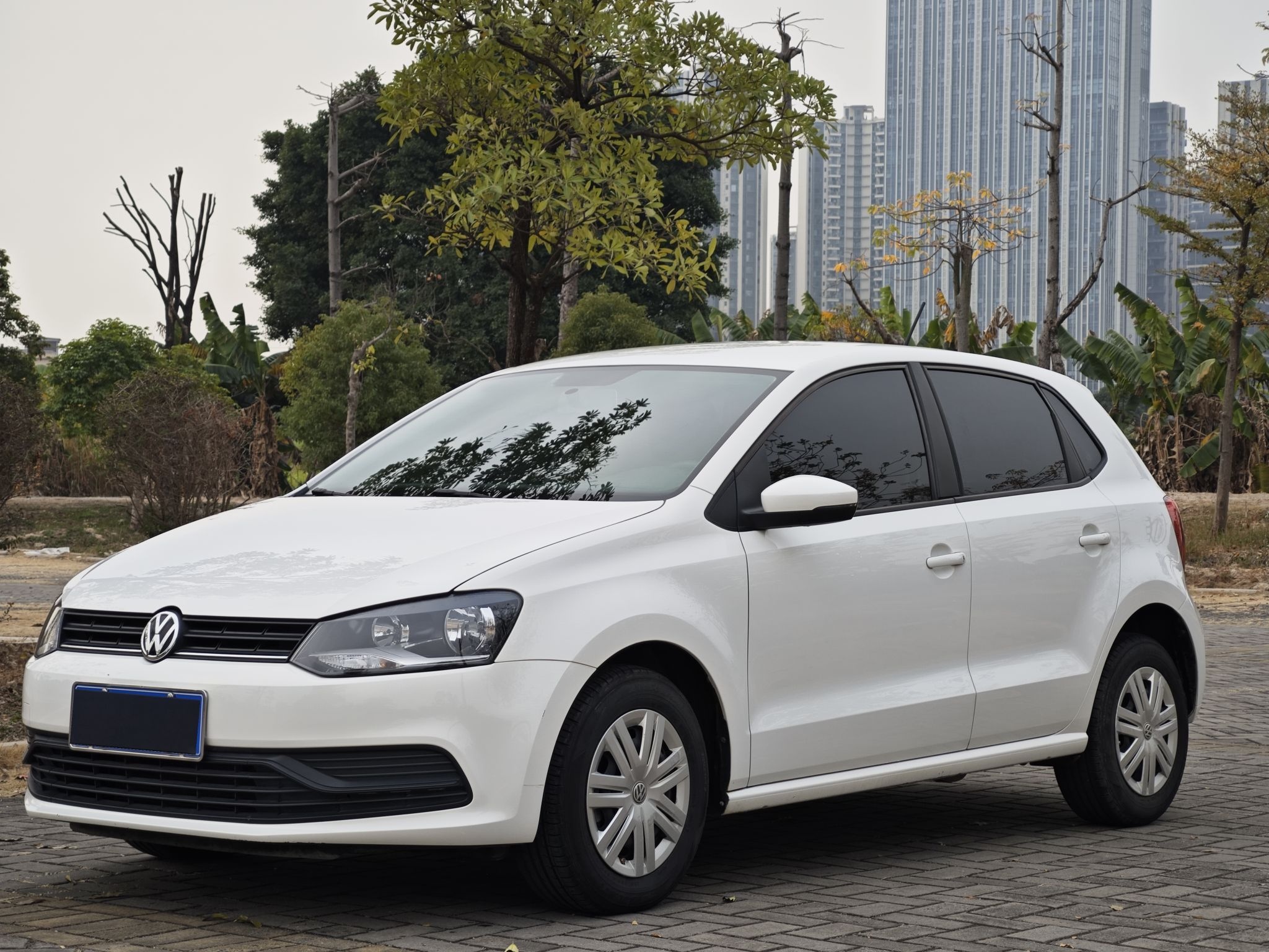 Polo 2016 car image 
