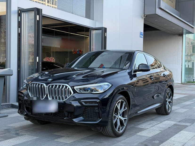 BMW X6 2021 car image 