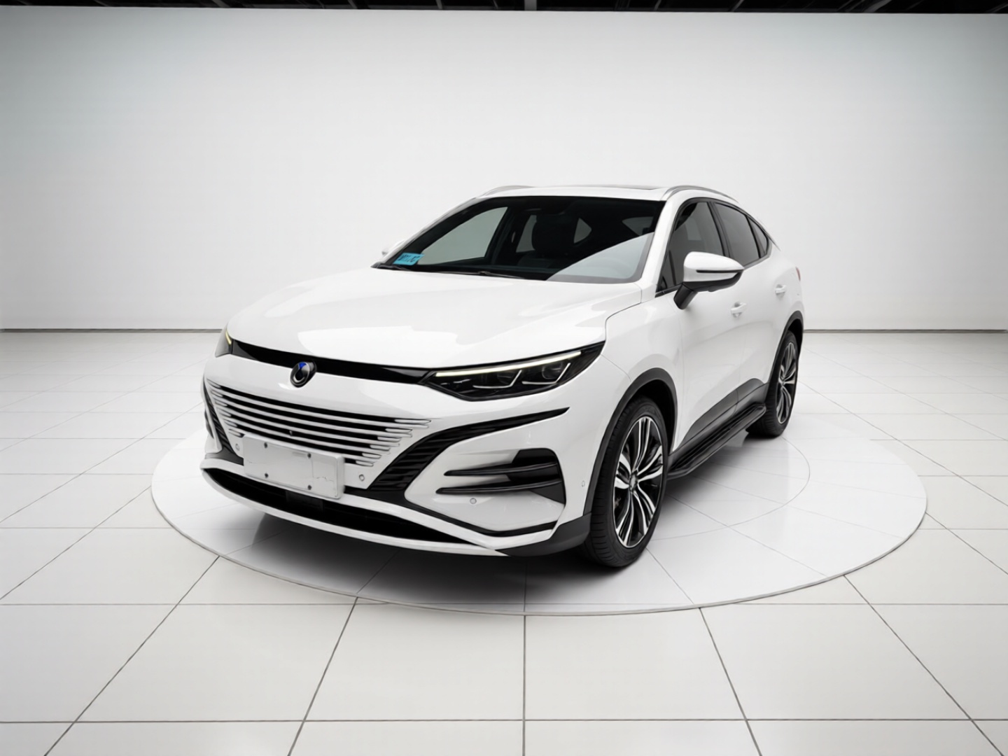 Denza N8 2023 car image 