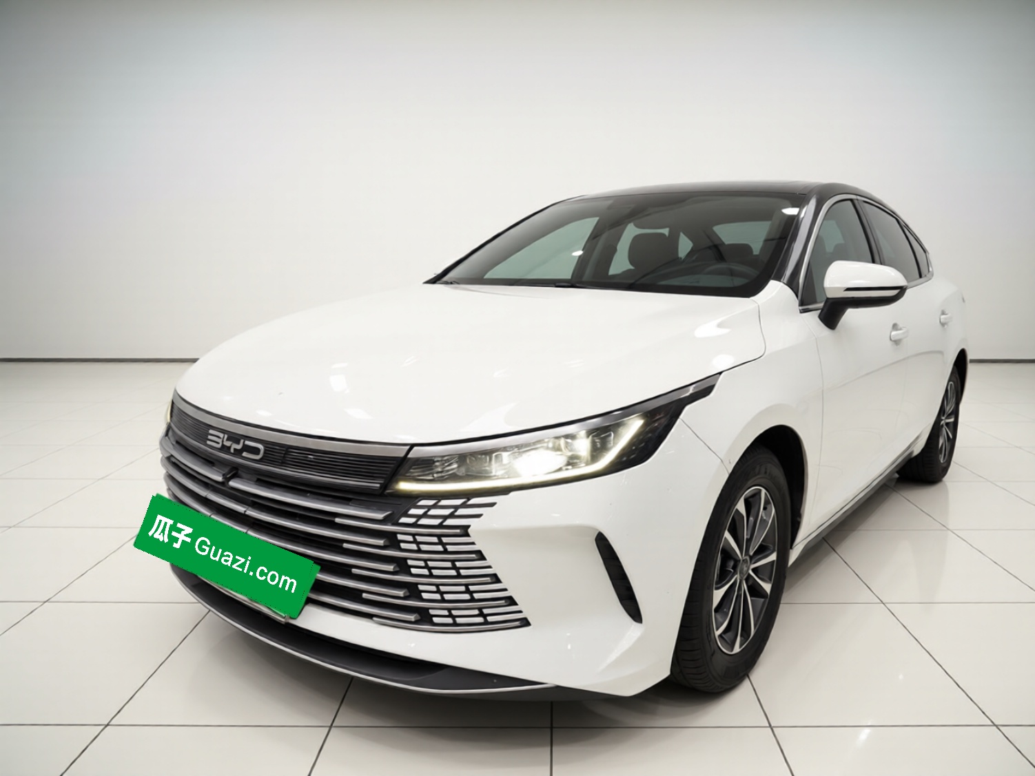 BYD Destroyer 05 2023 BYD Destroyer 05 2023 car image