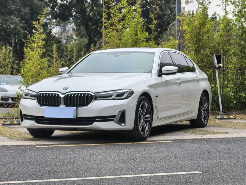 BMW 5 Series New Energy 2021 car image 