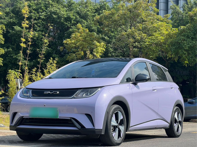 BYD Dolphin 2023 car image 
