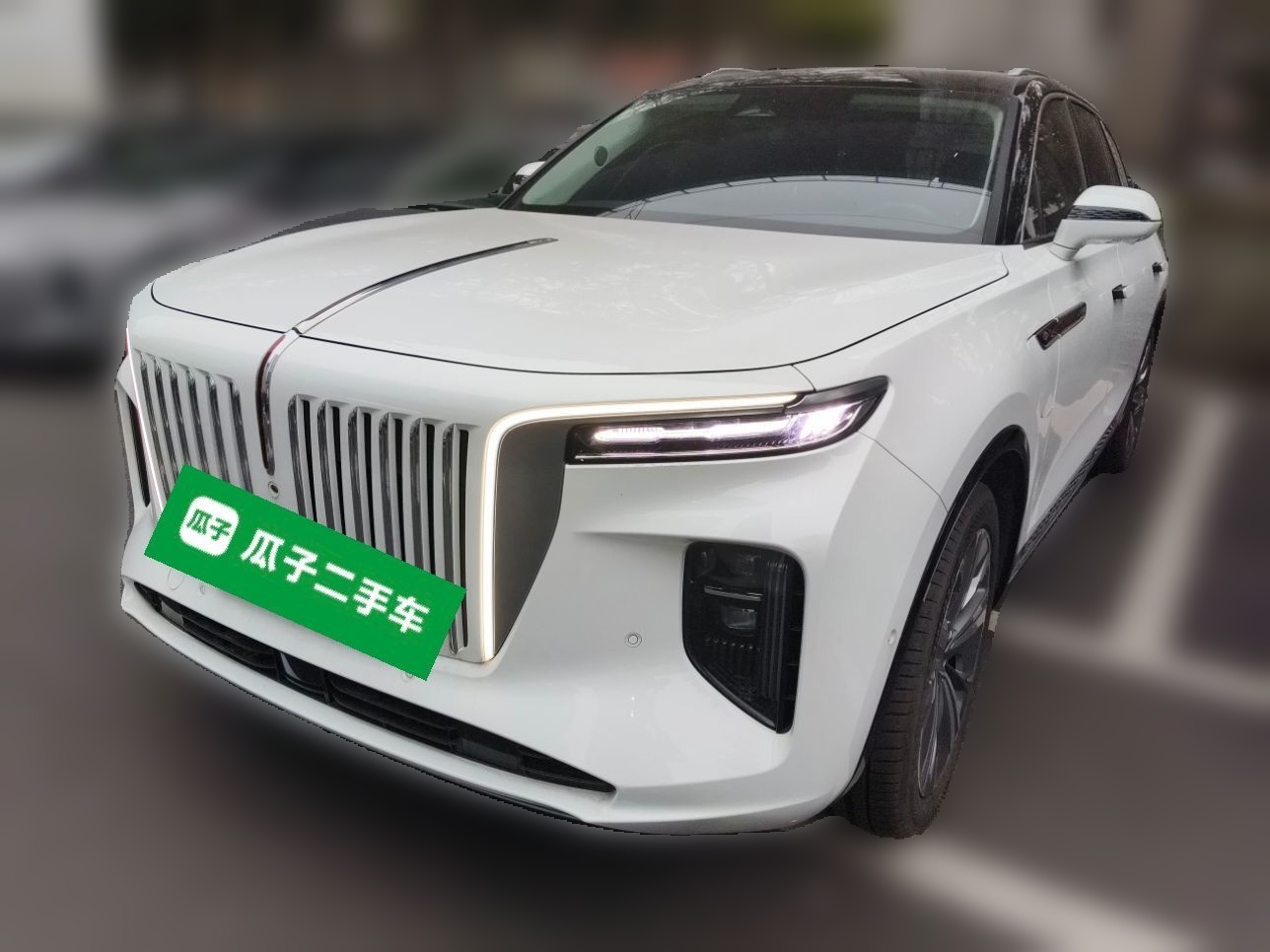 HongQi E-HS9 2023 car image 