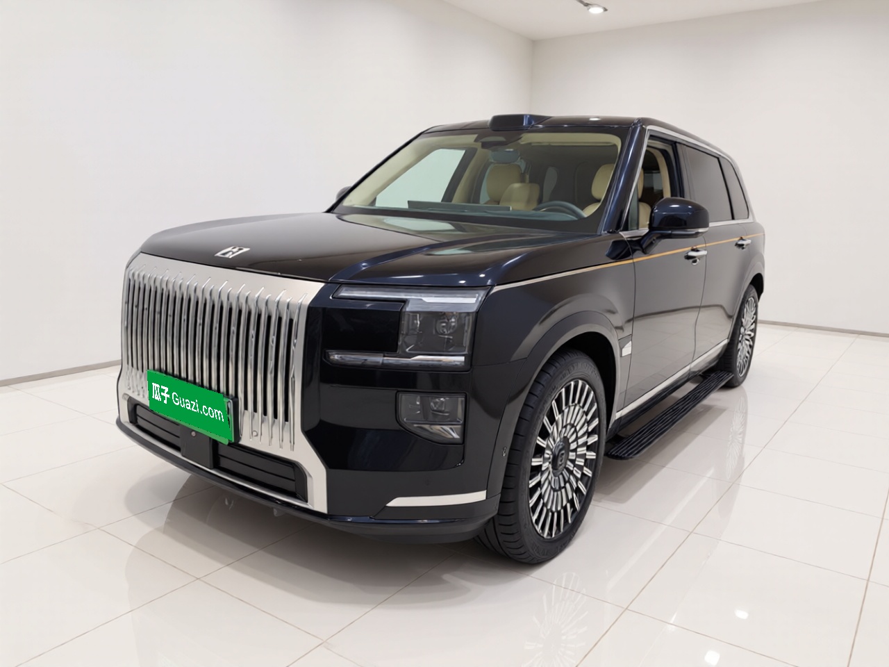 Zeekr 9X 2025 汽车图片 