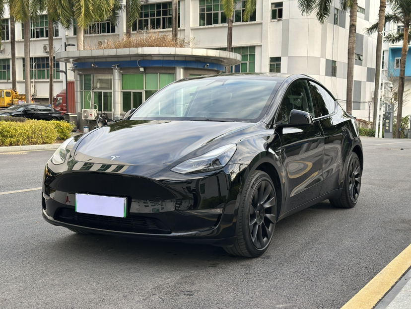 Tesla Model Y 2021 car image 