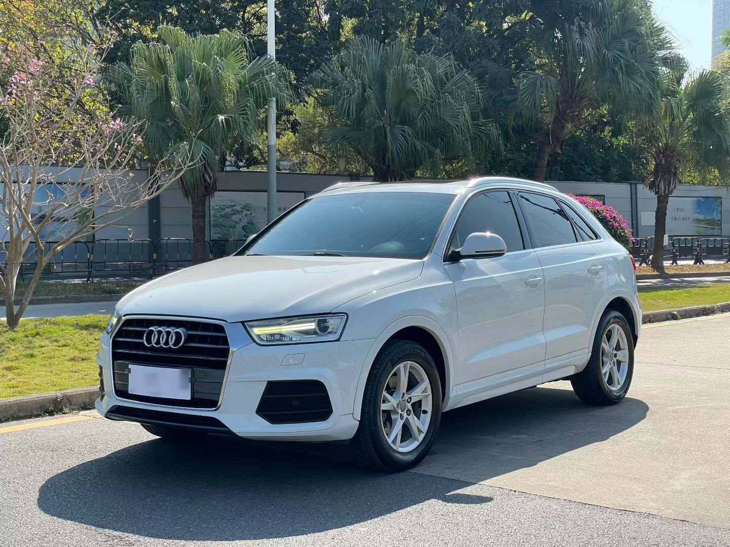 Audi Q3 2017 car image 