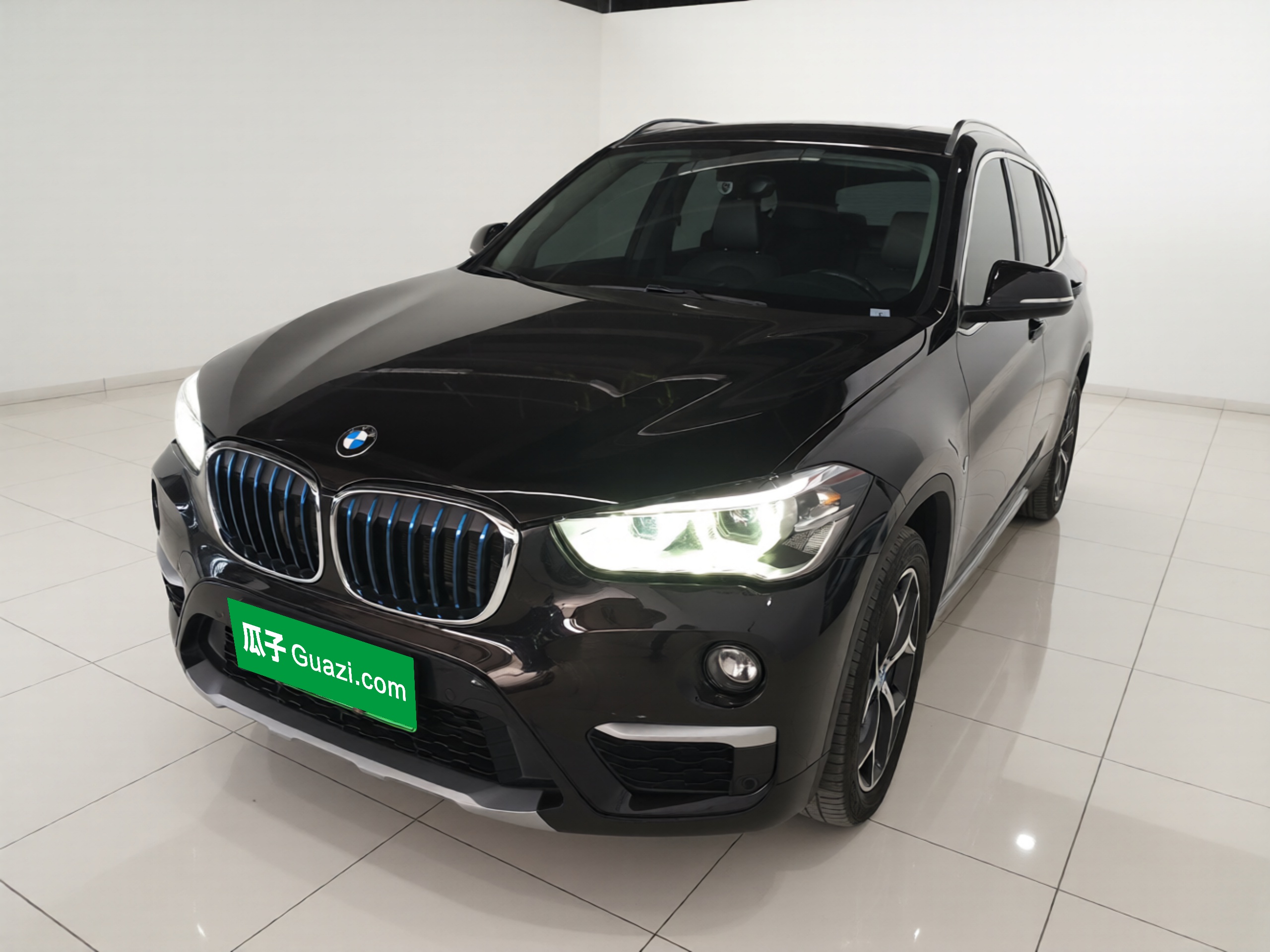 BMW X1 New Energy 2018 car image 