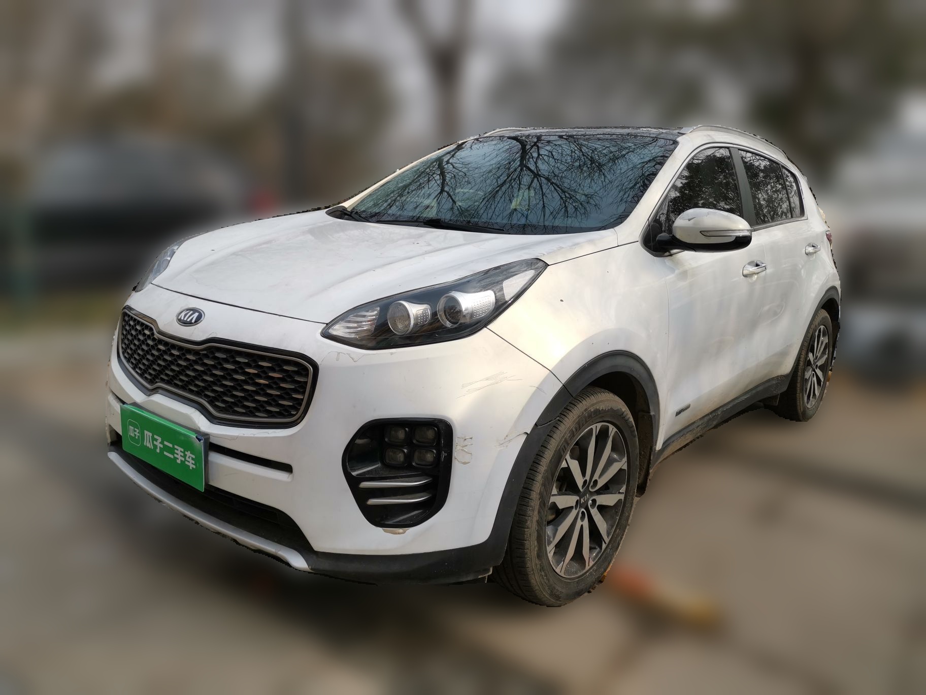 Kia KX5 2017 汽车图片 